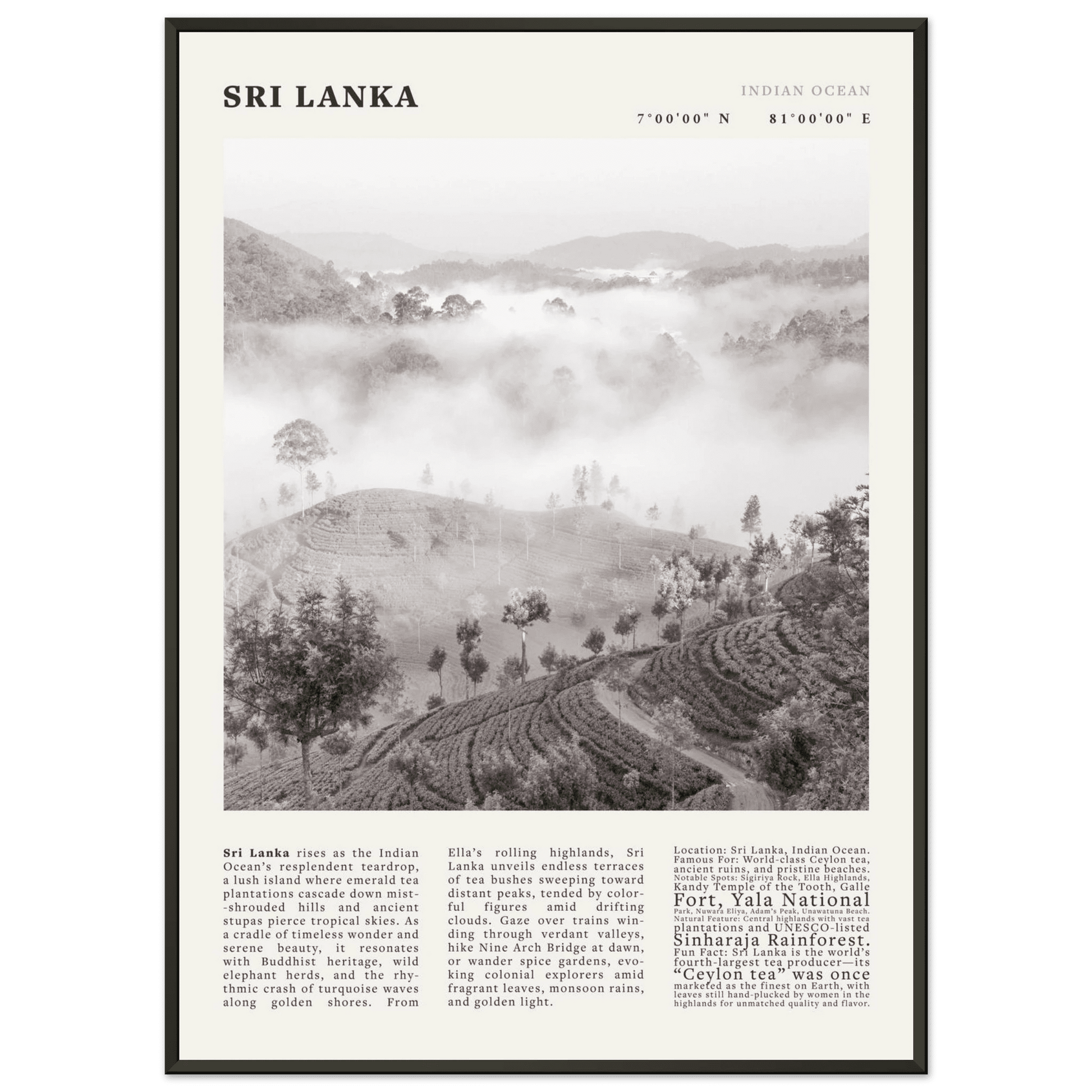 Sri Lanka Poster Black and White – Vintage Ceylon Tea Plantation Print (Digital & Printed Options) - Evergreen Posters