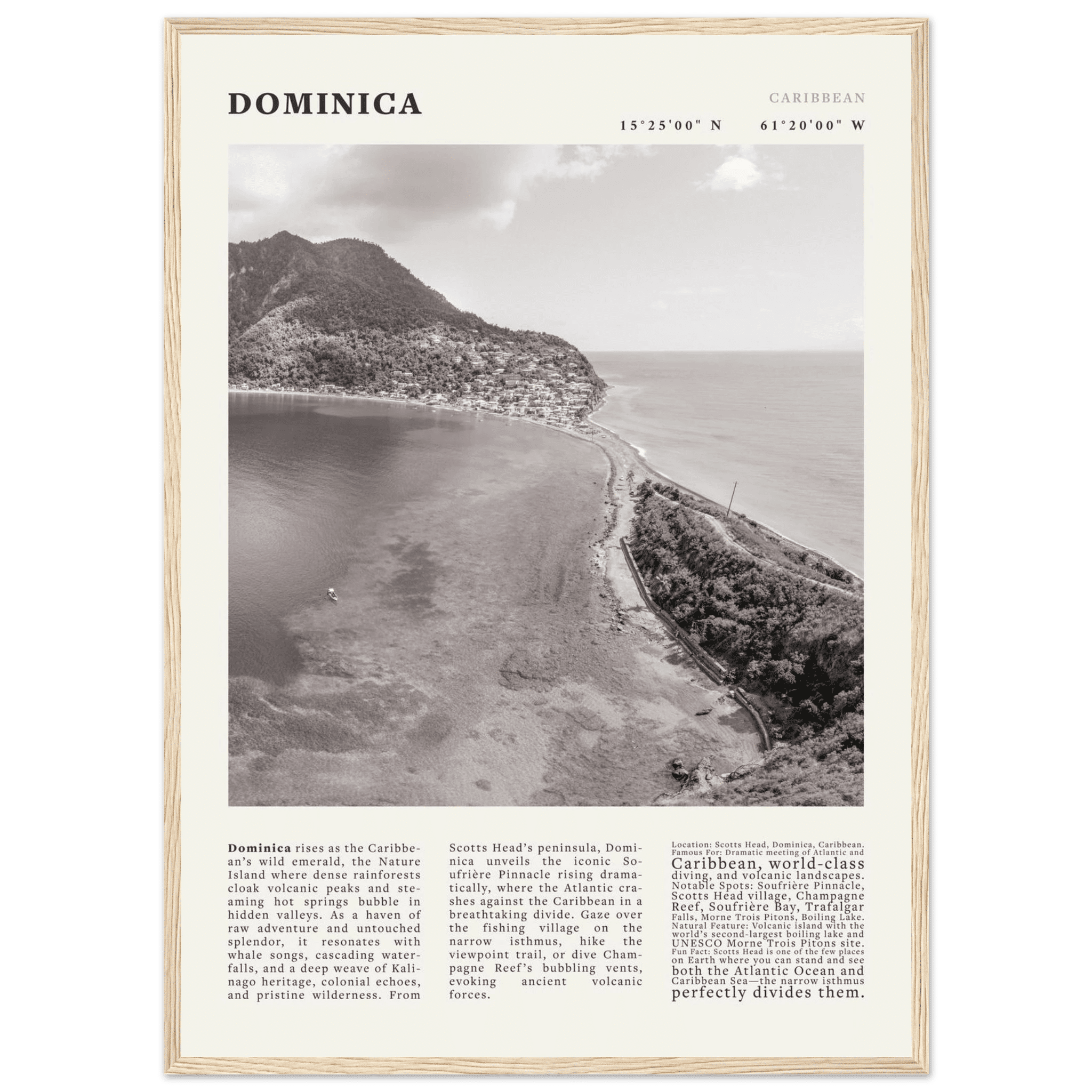 Dominica Poster Black and White – Vintage Caribbean Rainforest Island Print (Digital & Printed Options) - Evergreen Posters