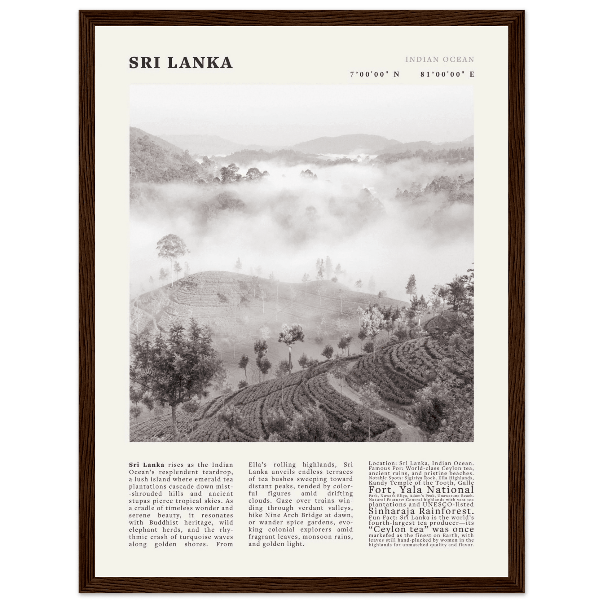 Sri Lanka Poster Black and White – Vintage Ceylon Tea Plantation Print (Digital & Printed Options) - Evergreen Posters