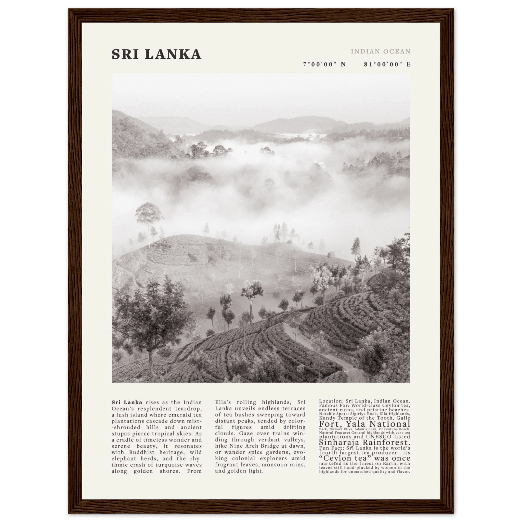 Sri Lanka Poster Black and White – Vintage Ceylon Tea Plantation Print (Digital & Printed Options) - Evergreen Posters