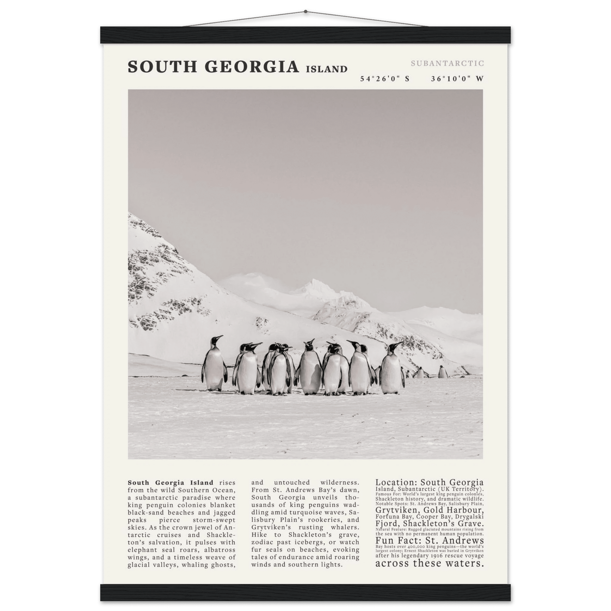 South Georgia Island Black and White Vintage Poster - Evergreen Posters