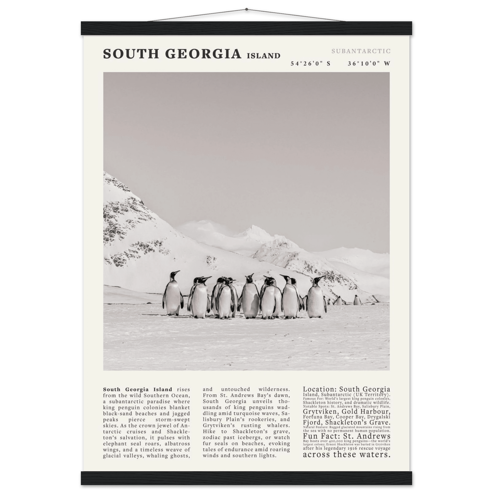 South Georgia Island Black and White Vintage Poster - Evergreen Posters