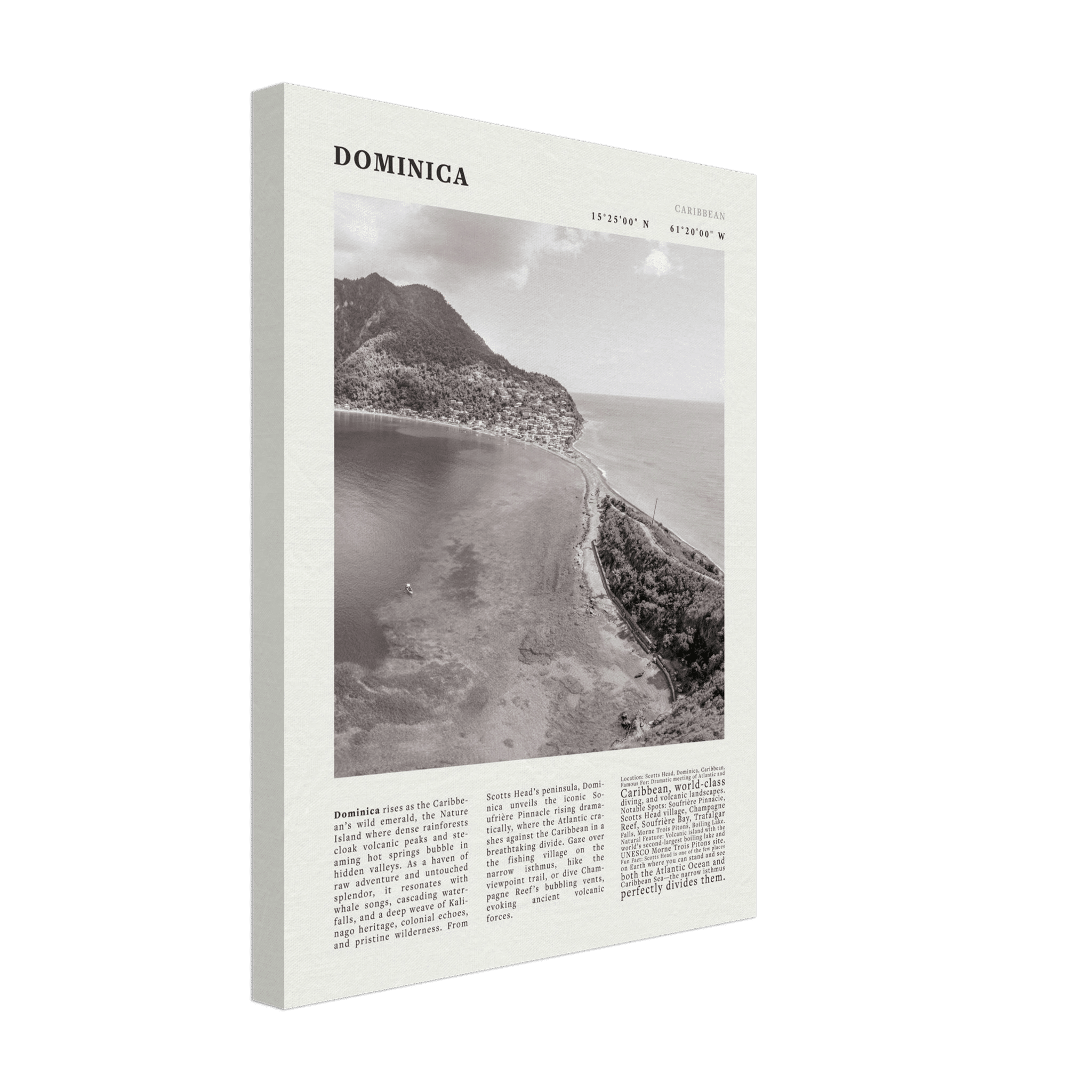 Dominica Poster Black and White – Vintage Caribbean Rainforest Island Print (Digital & Printed Options) - Evergreen Posters