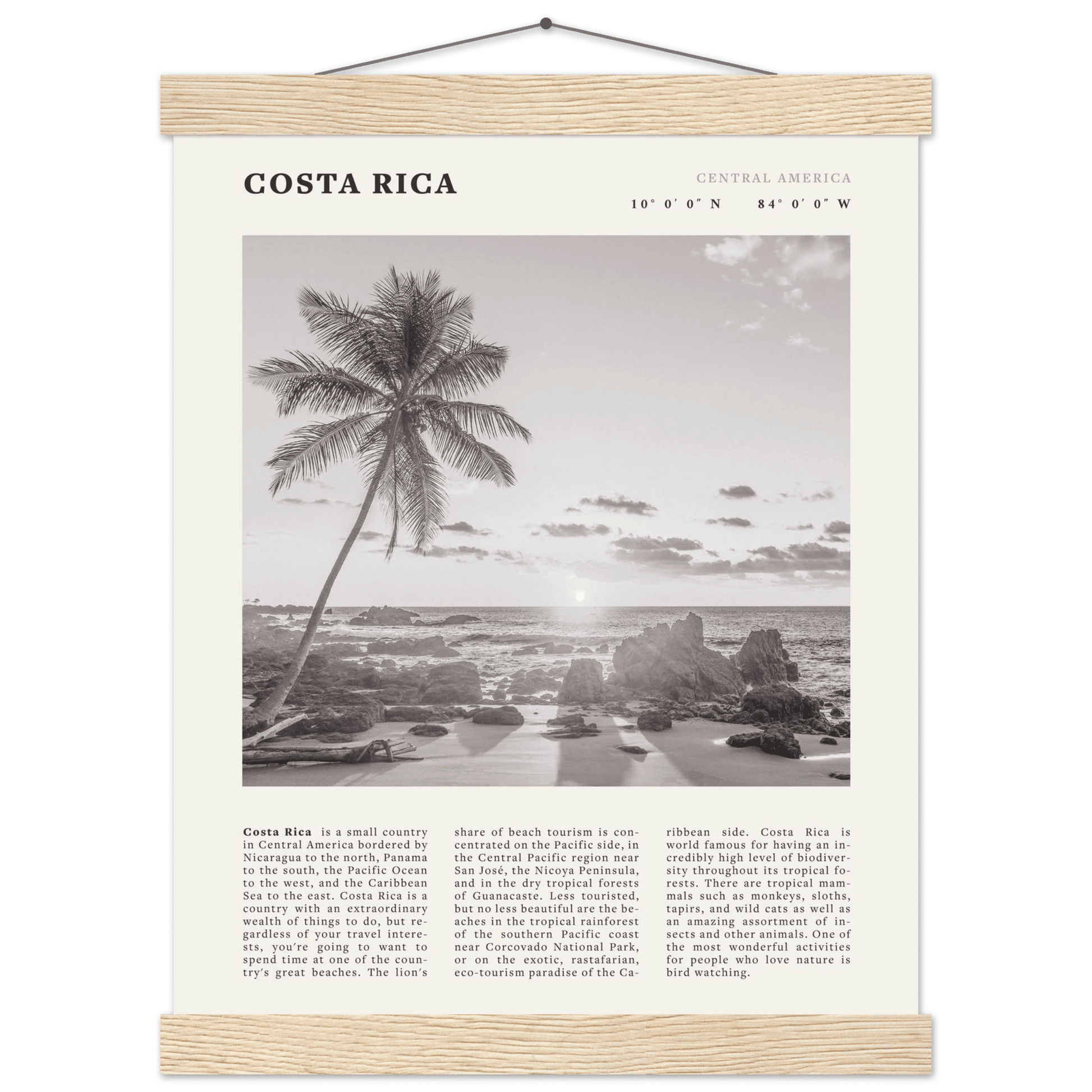 Costa Rica Poster | Black & White Palm Tree Beach Wall Art | Travel Print Decor - Evergreen Posters