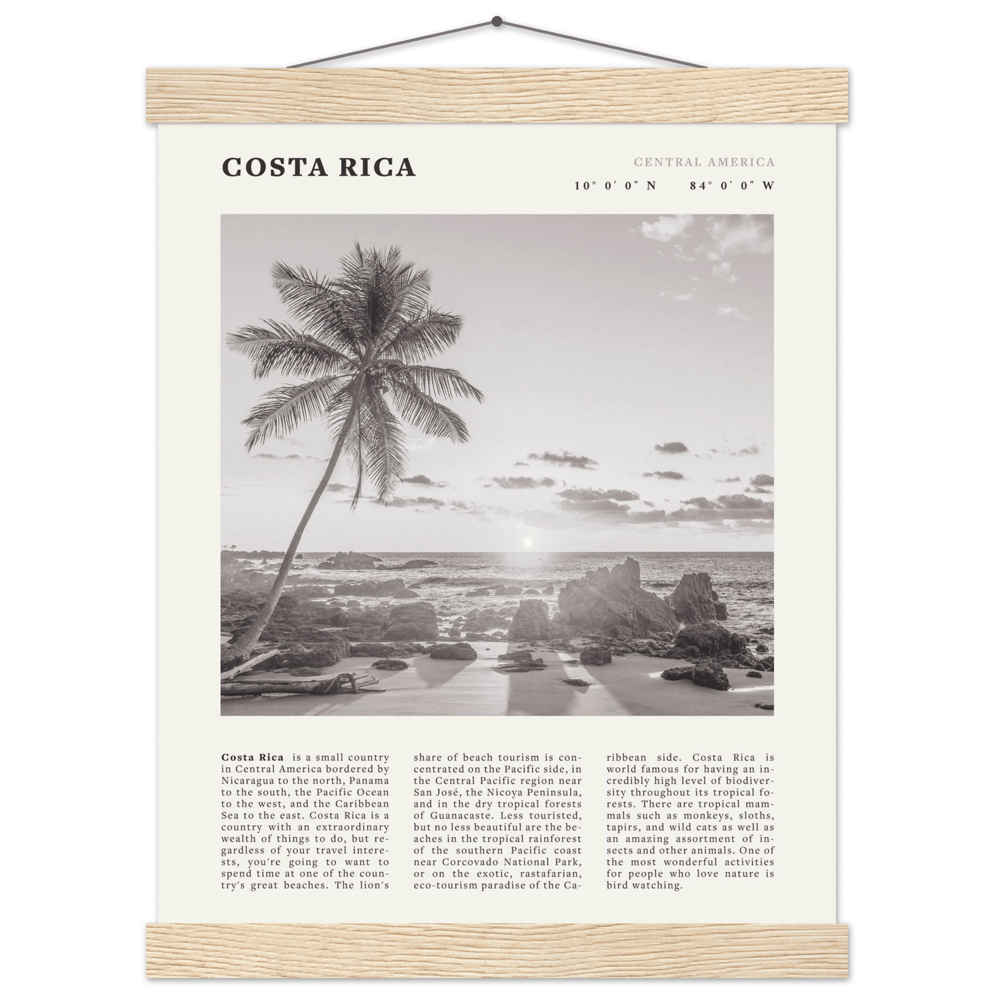 Costa Rica Poster | Black & White Palm Tree Beach Wall Art | Travel Print Decor - Evergreen Posters