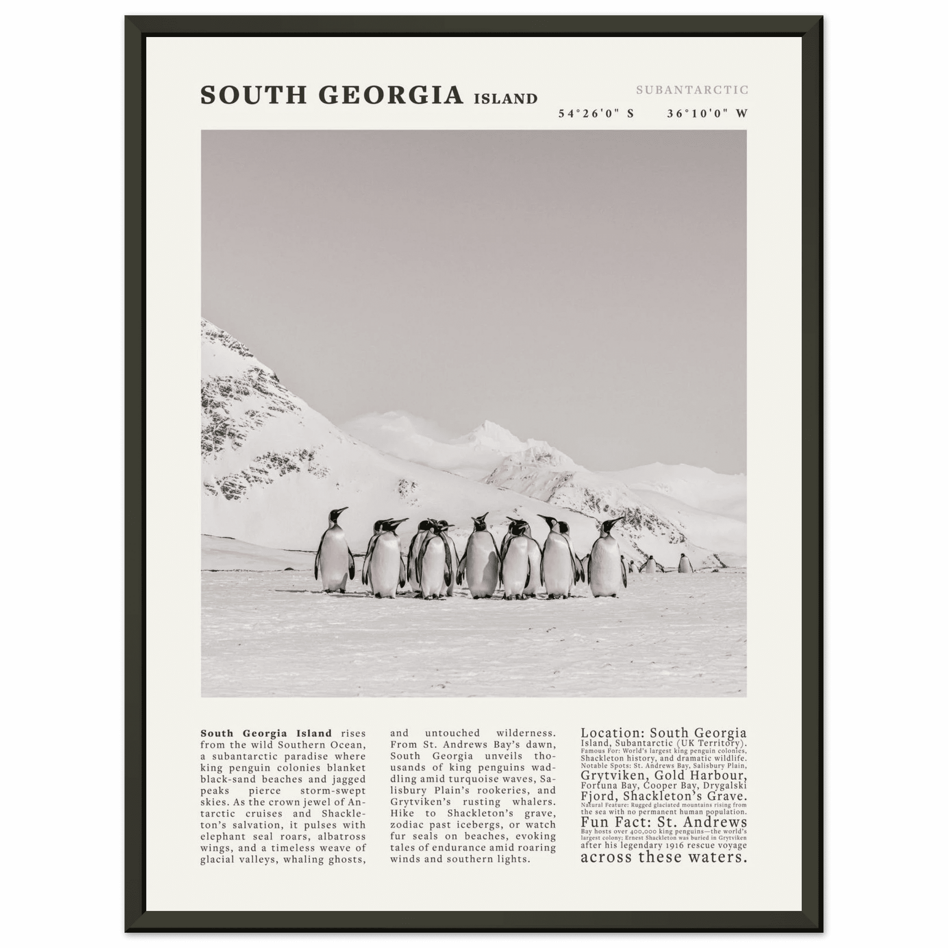 South Georgia Island Black and White Vintage Poster - Evergreen Posters