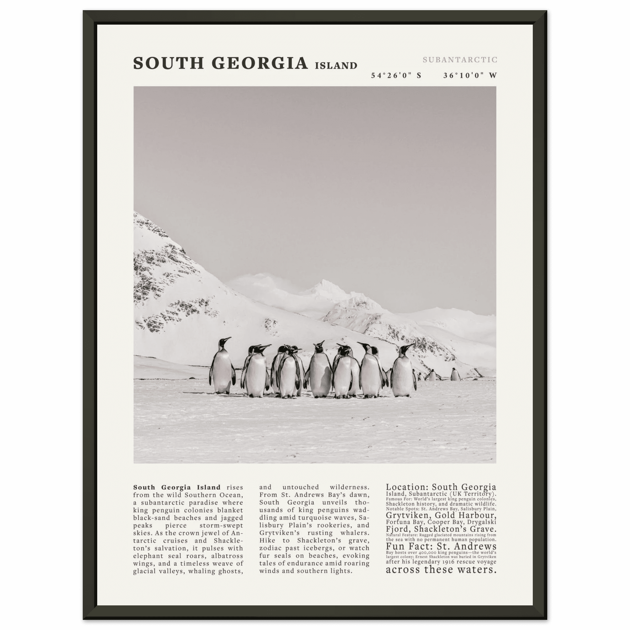 South Georgia Island Black and White Vintage Poster - Evergreen Posters