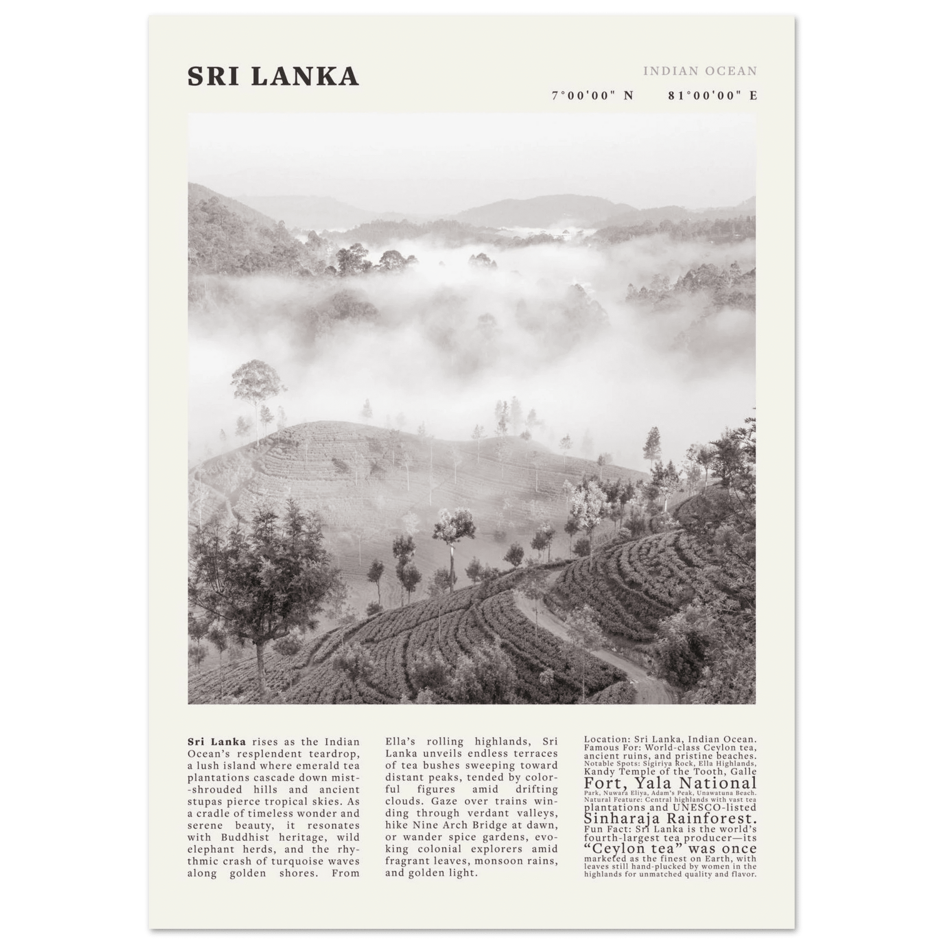 Sri Lanka Poster Black and White – Vintage Ceylon Tea Plantation Print (Digital & Printed Options) - Evergreen Posters