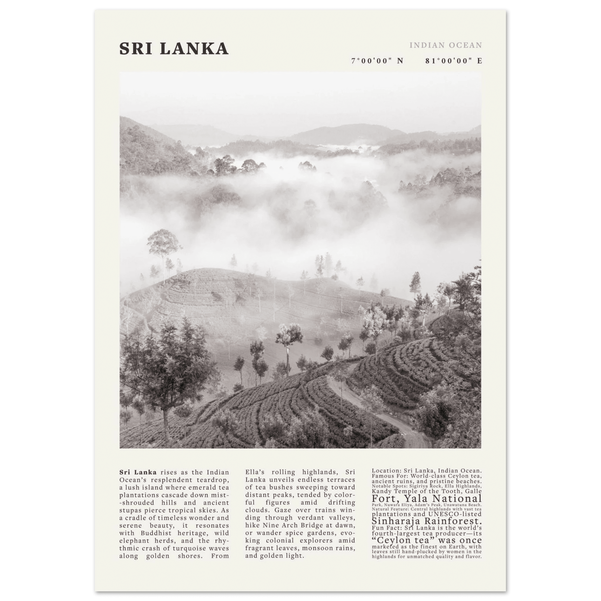 Sri Lanka Poster Black and White – Vintage Ceylon Tea Plantation Print (Digital & Printed Options) - Evergreen Posters