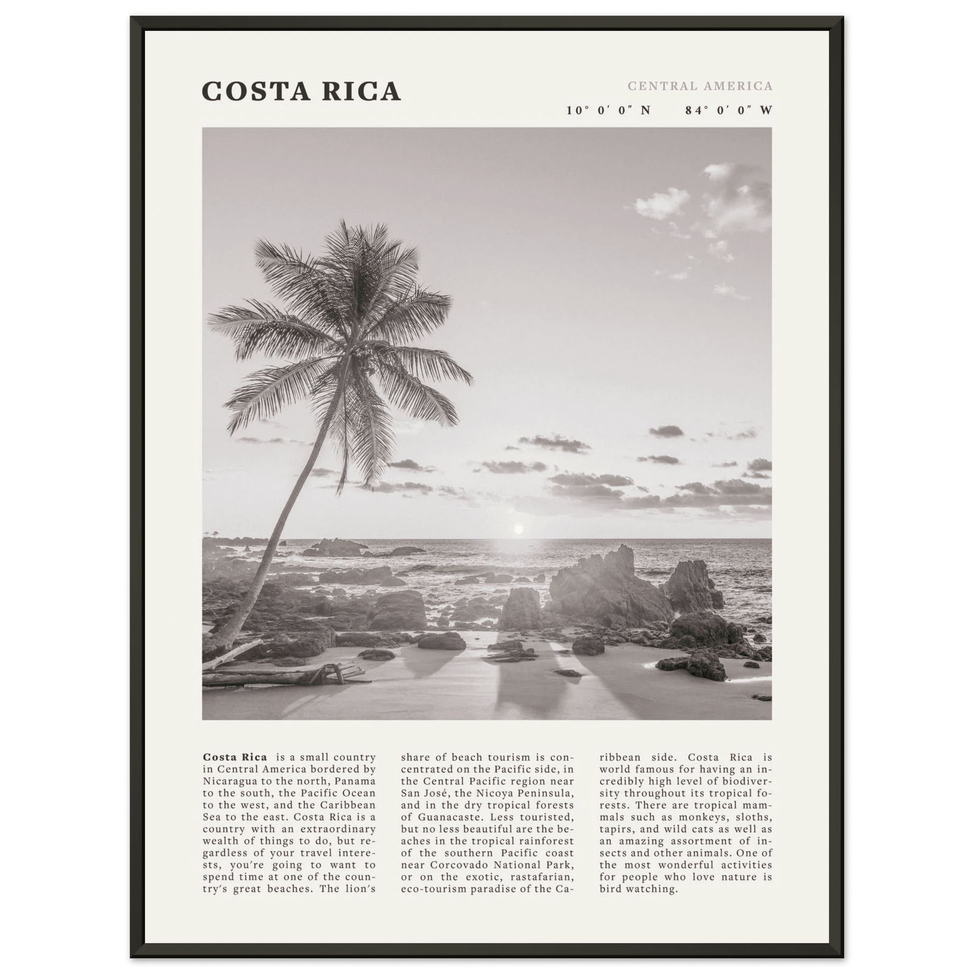Costa Rica Poster | Black & White Palm Tree Beach Wall Art | Travel Print Decor - Evergreen Posters