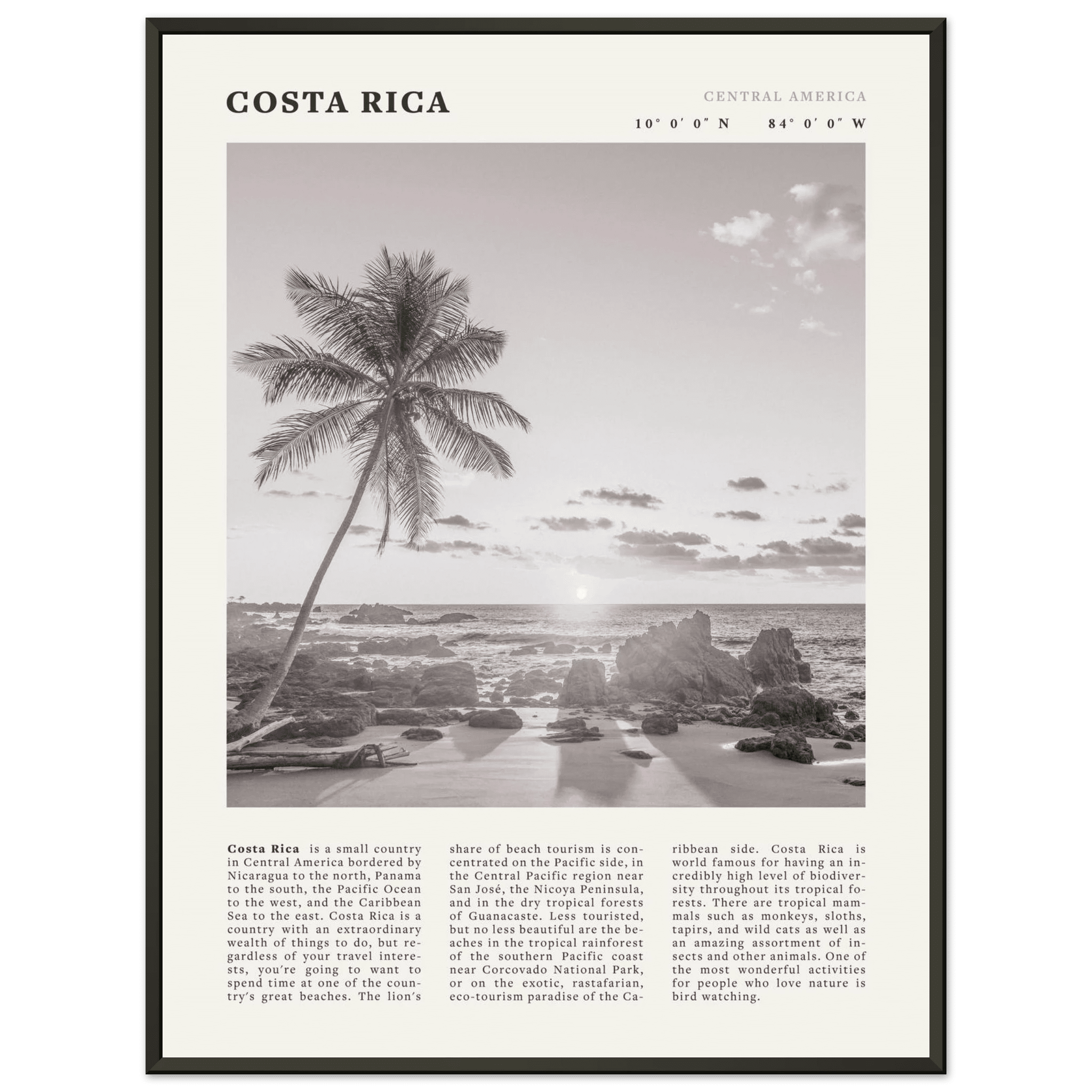 Costa Rica Poster | Black & White Palm Tree Beach Wall Art | Travel Print Decor - Evergreen Posters