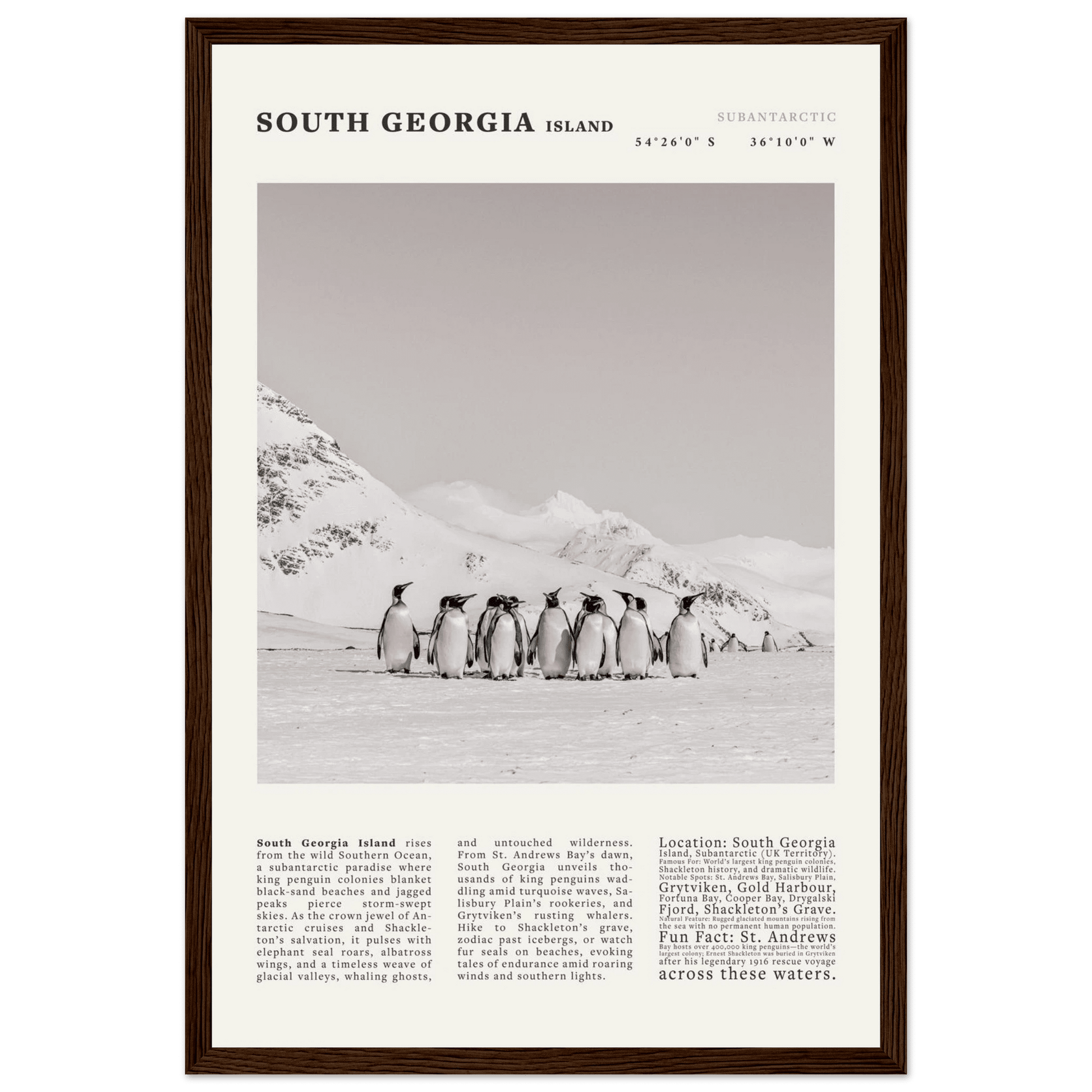 South Georgia Island Black and White Vintage Poster - Evergreen Posters