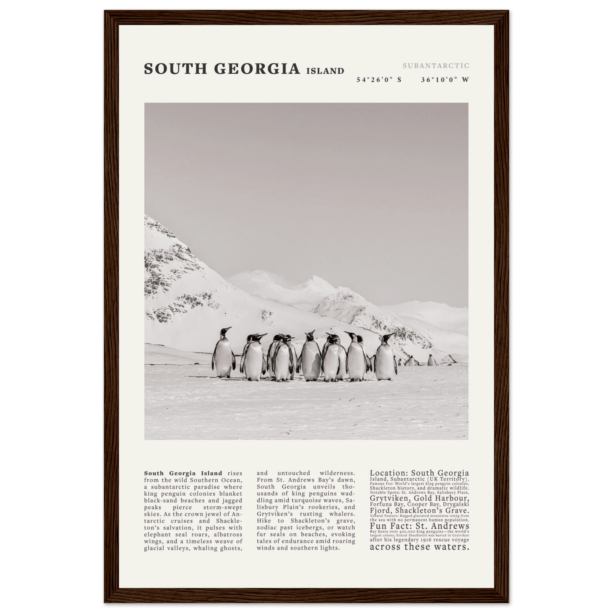 South Georgia Island Black and White Vintage Poster - Evergreen Posters