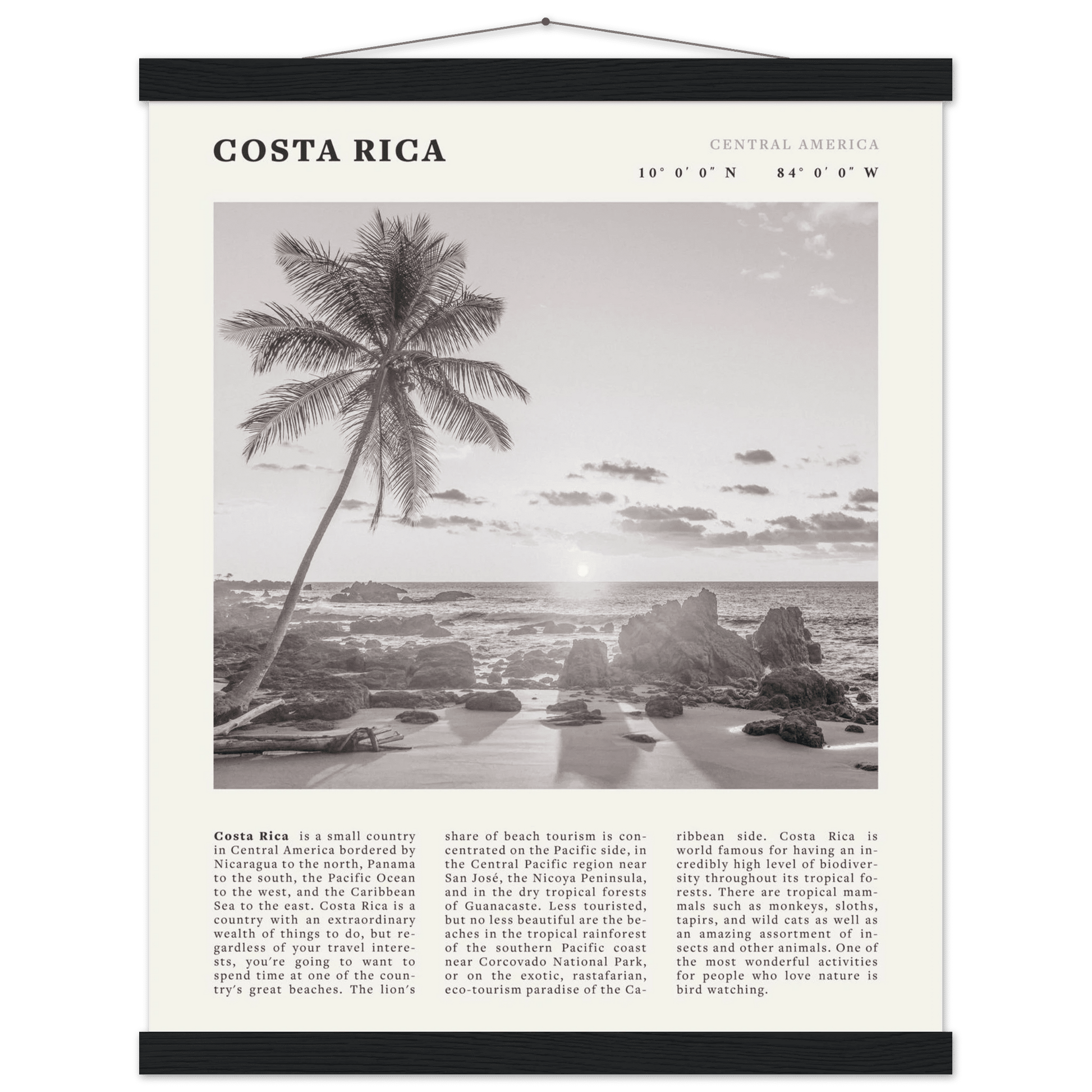 Costa Rica Poster | Black & White Palm Tree Beach Wall Art | Travel Print Decor - Evergreen Posters