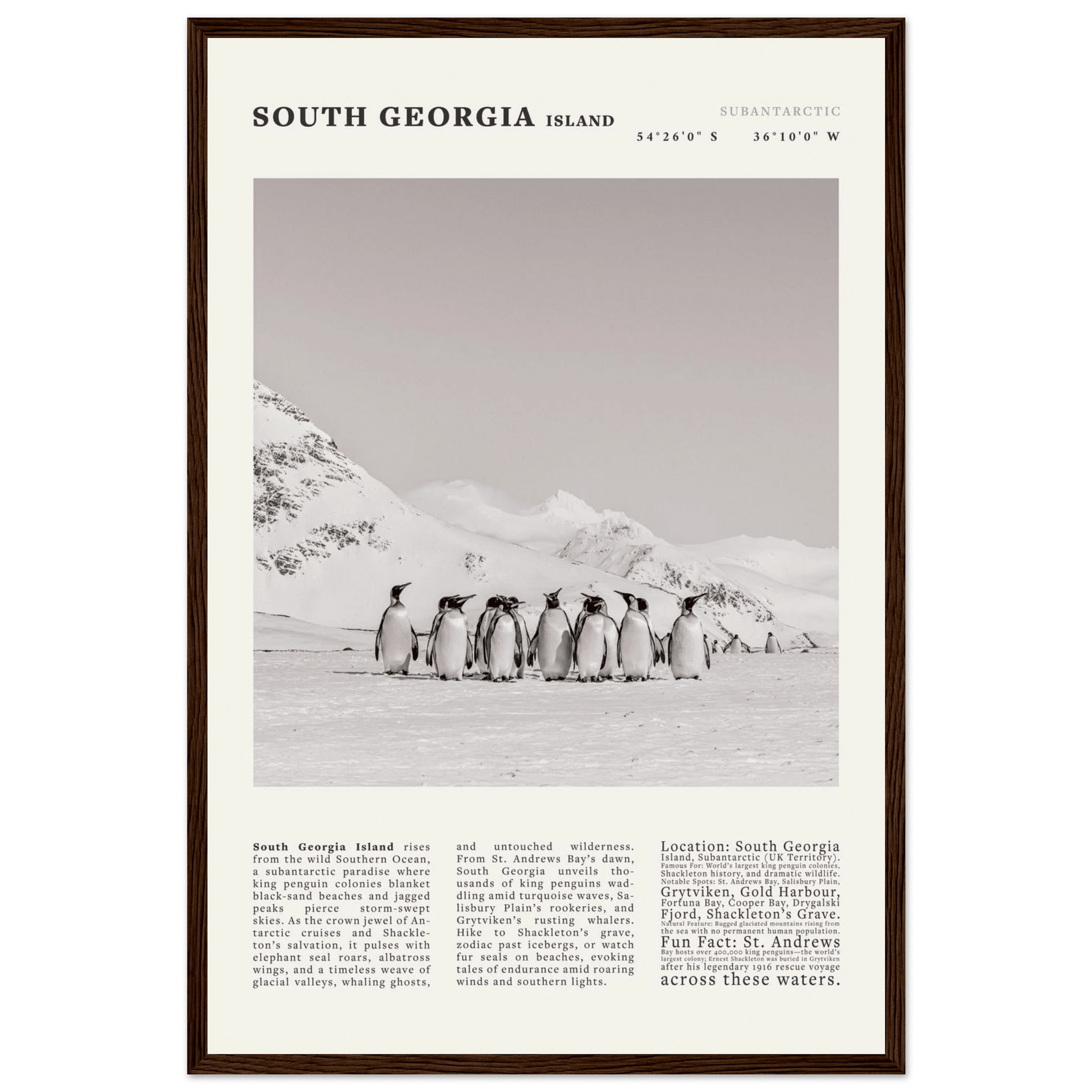 South Georgia Island Black and White Vintage Poster - Evergreen Posters