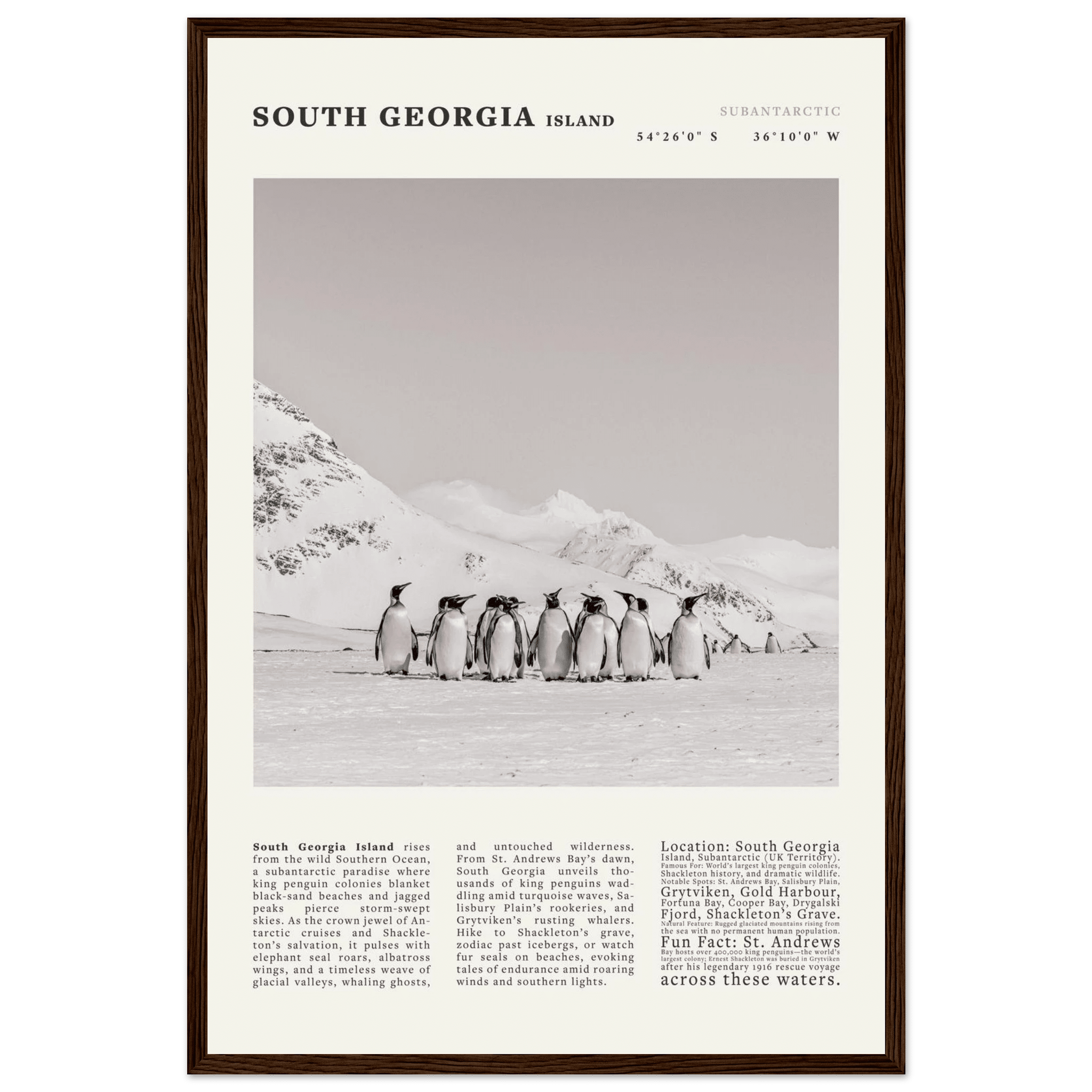 South Georgia Island Black and White Vintage Poster - Evergreen Posters
