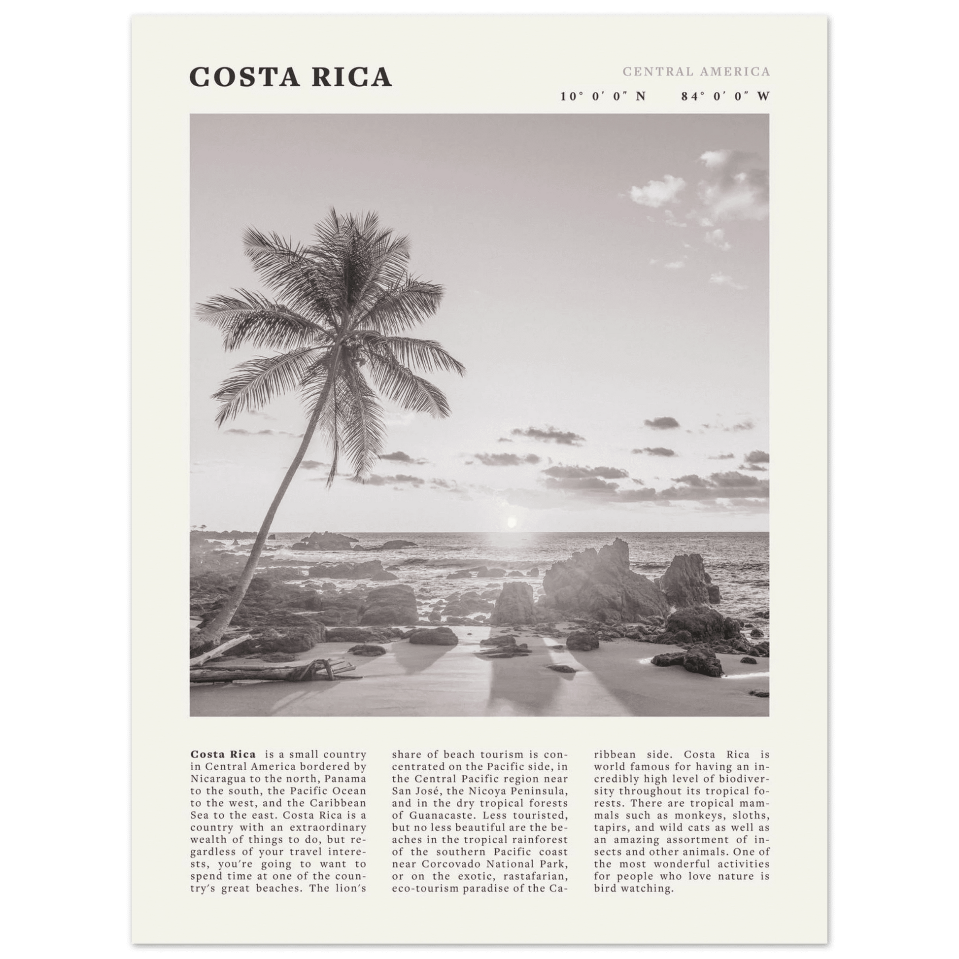 Costa Rica Poster | Black & White Palm Tree Beach Wall Art | Travel Print Decor - Evergreen Posters