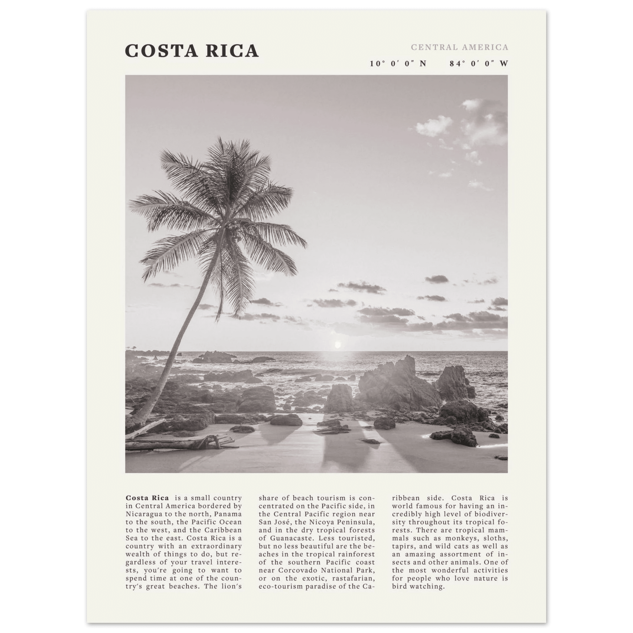 Costa Rica Poster | Black & White Palm Tree Beach Wall Art | Travel Print Decor - Evergreen Posters