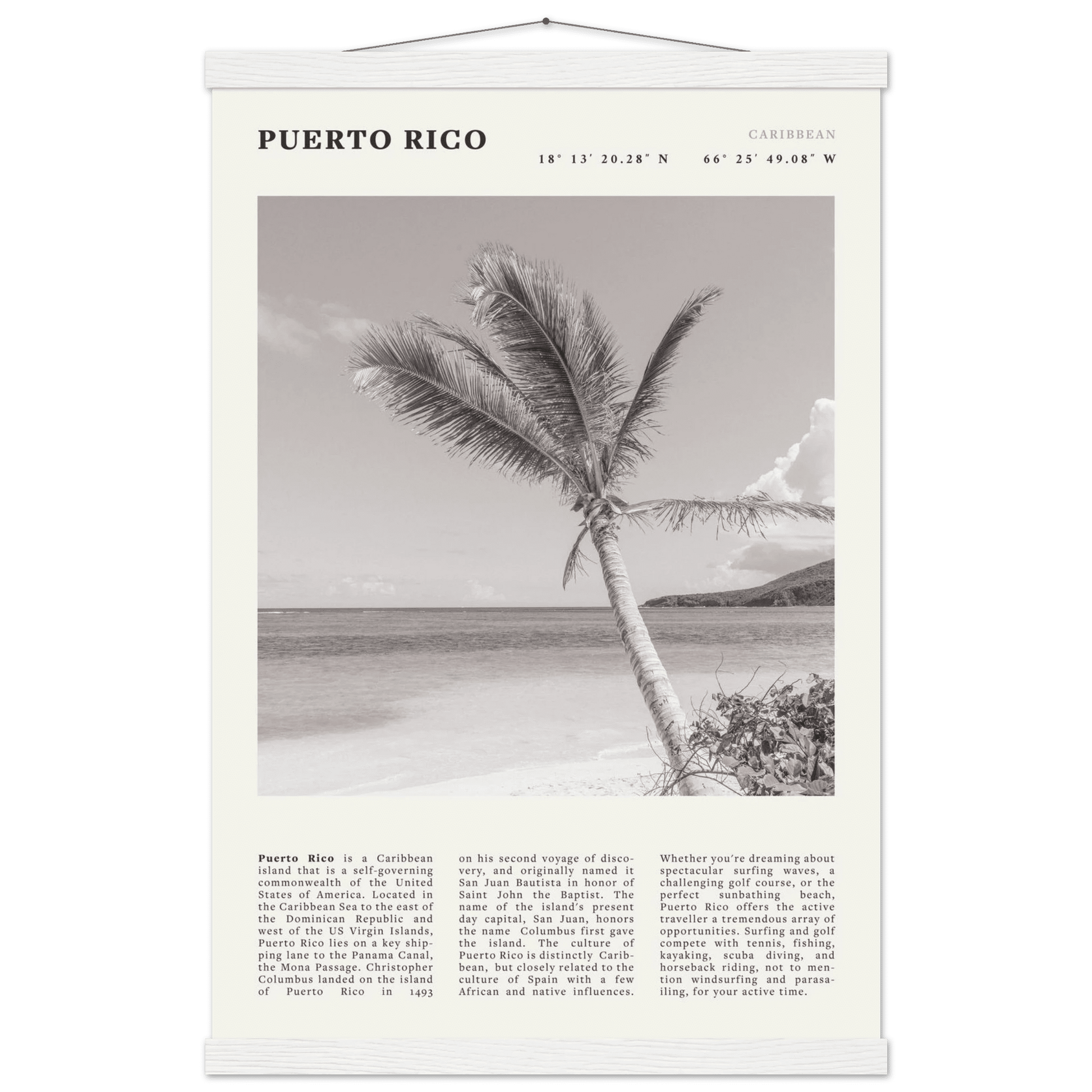Puerto Rico Poster Black and White – Vintage Caribbean Palm Beach Print (Digital & Printed Options) - Evergreen Posters
