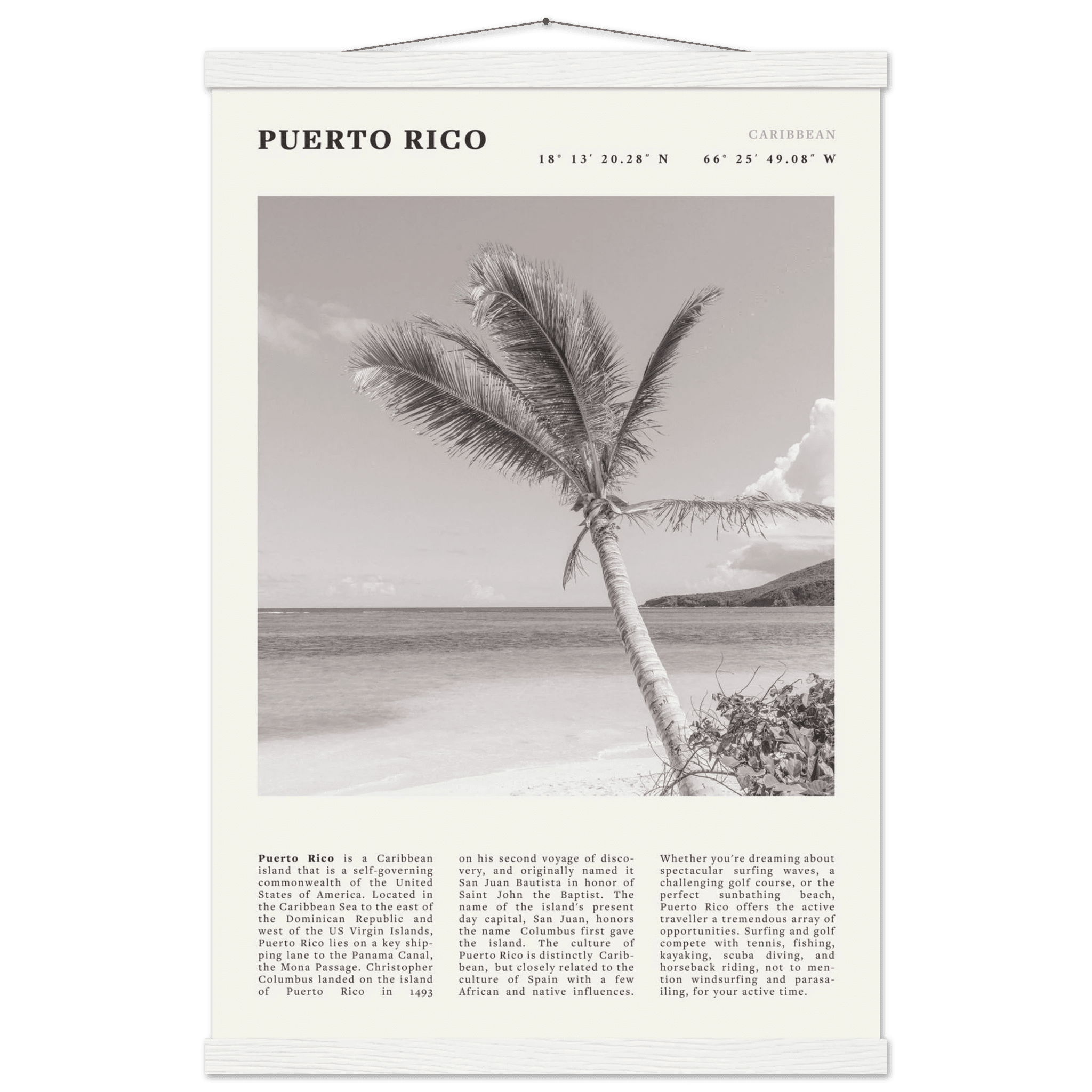 Puerto Rico Poster Black and White – Vintage Caribbean Palm Beach Print (Digital & Printed Options) - Evergreen Posters