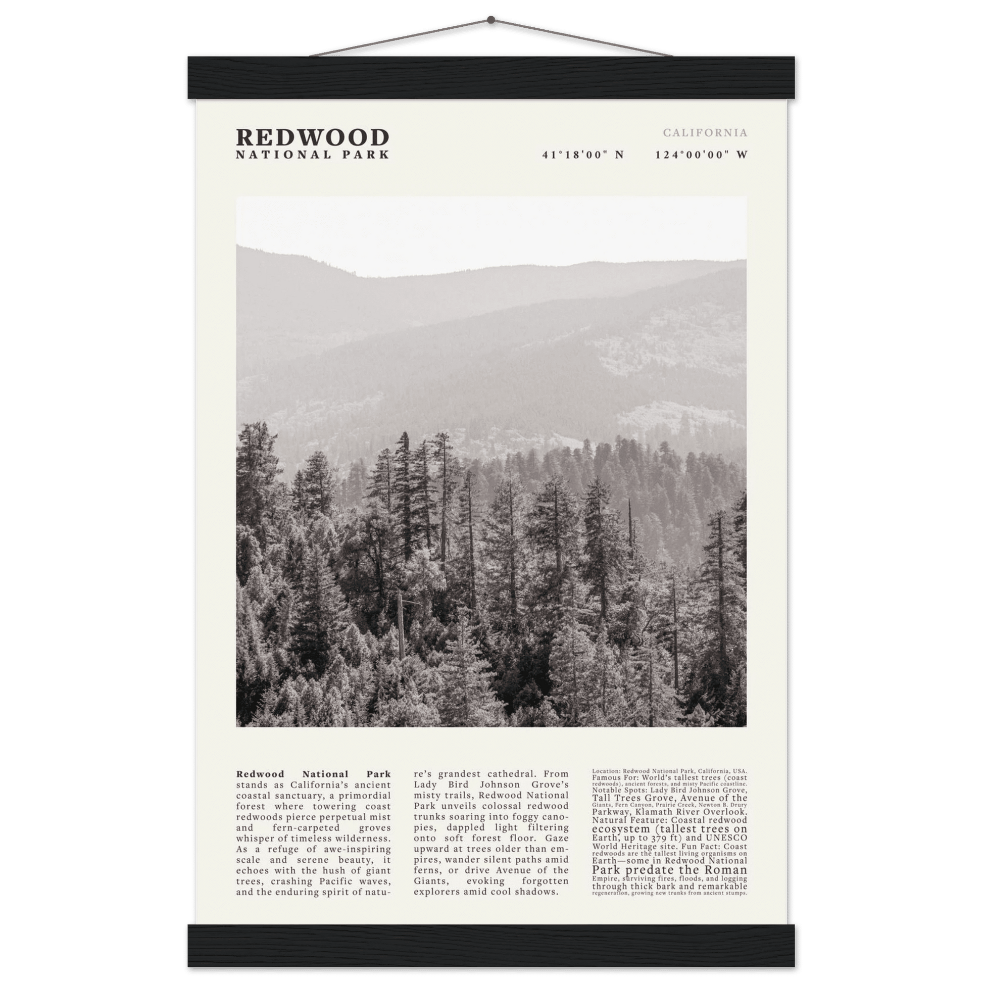 Redwood National Park Poster Black and White – Vintage Foggy Redwood Forest Print - Evergreen Posters