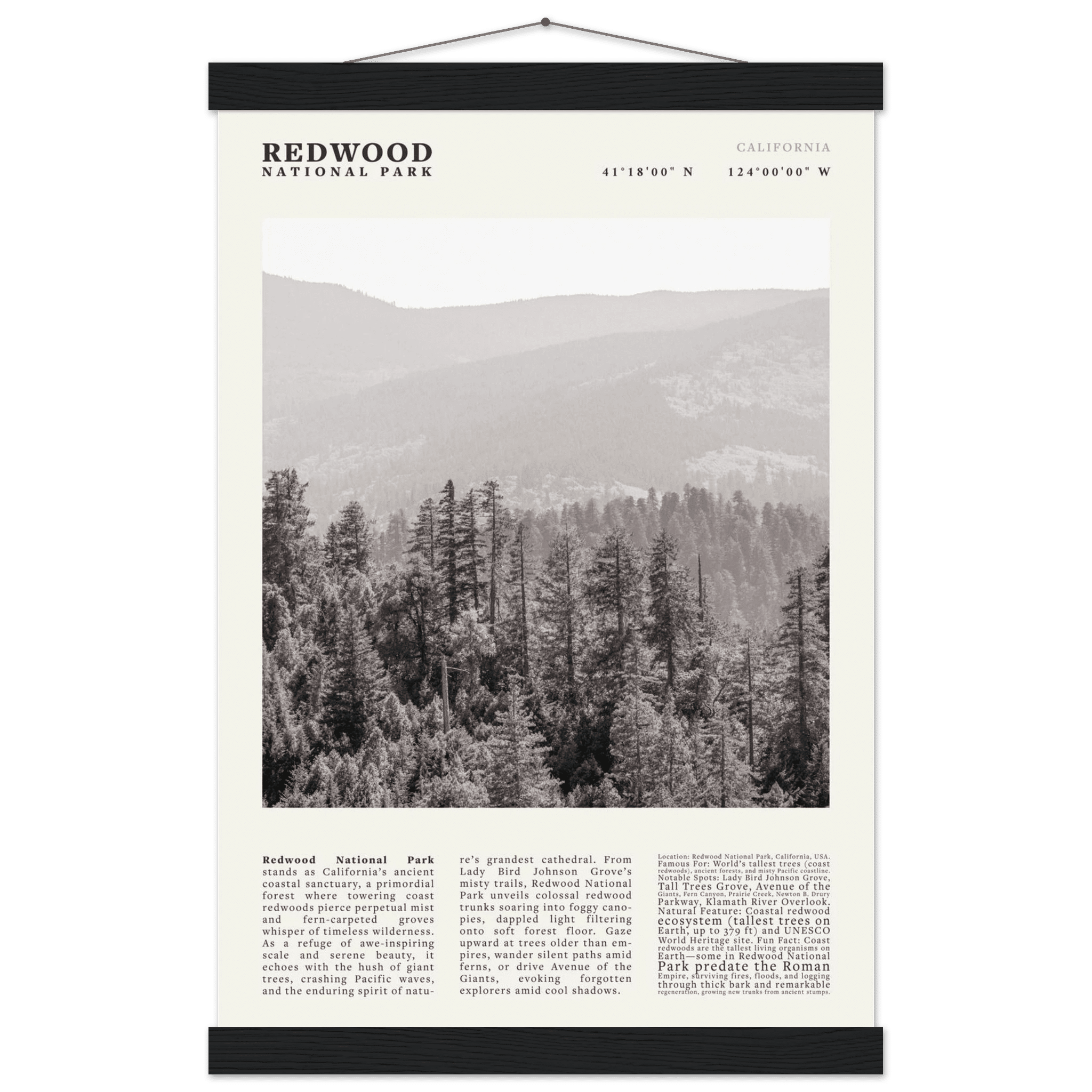 Redwood National Park Poster Black and White – Vintage Foggy Redwood Forest Print - Evergreen Posters