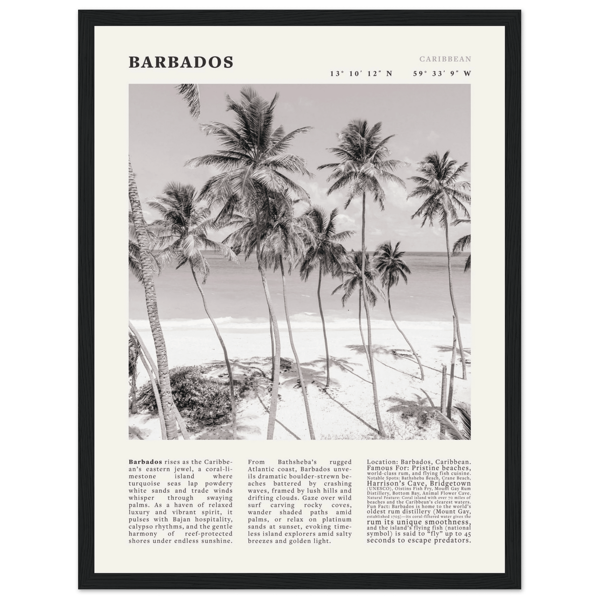 Barbados Poster Black and White – Vintage Caribbean Palm Beach Print (Digital & Printed Options) - Evergreen Posters