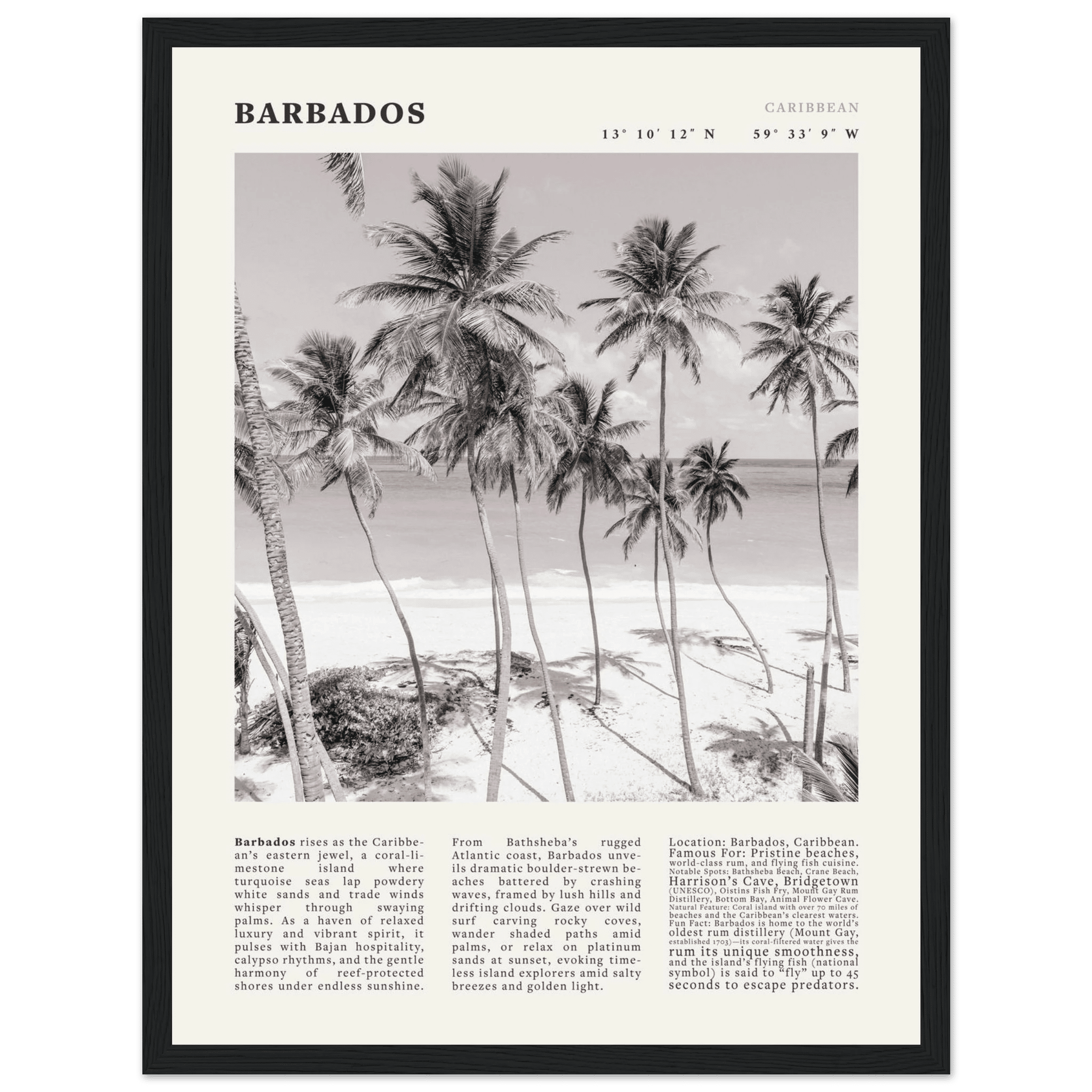 Barbados Poster Black and White – Vintage Caribbean Palm Beach Print (Digital & Printed Options) - Evergreen Posters