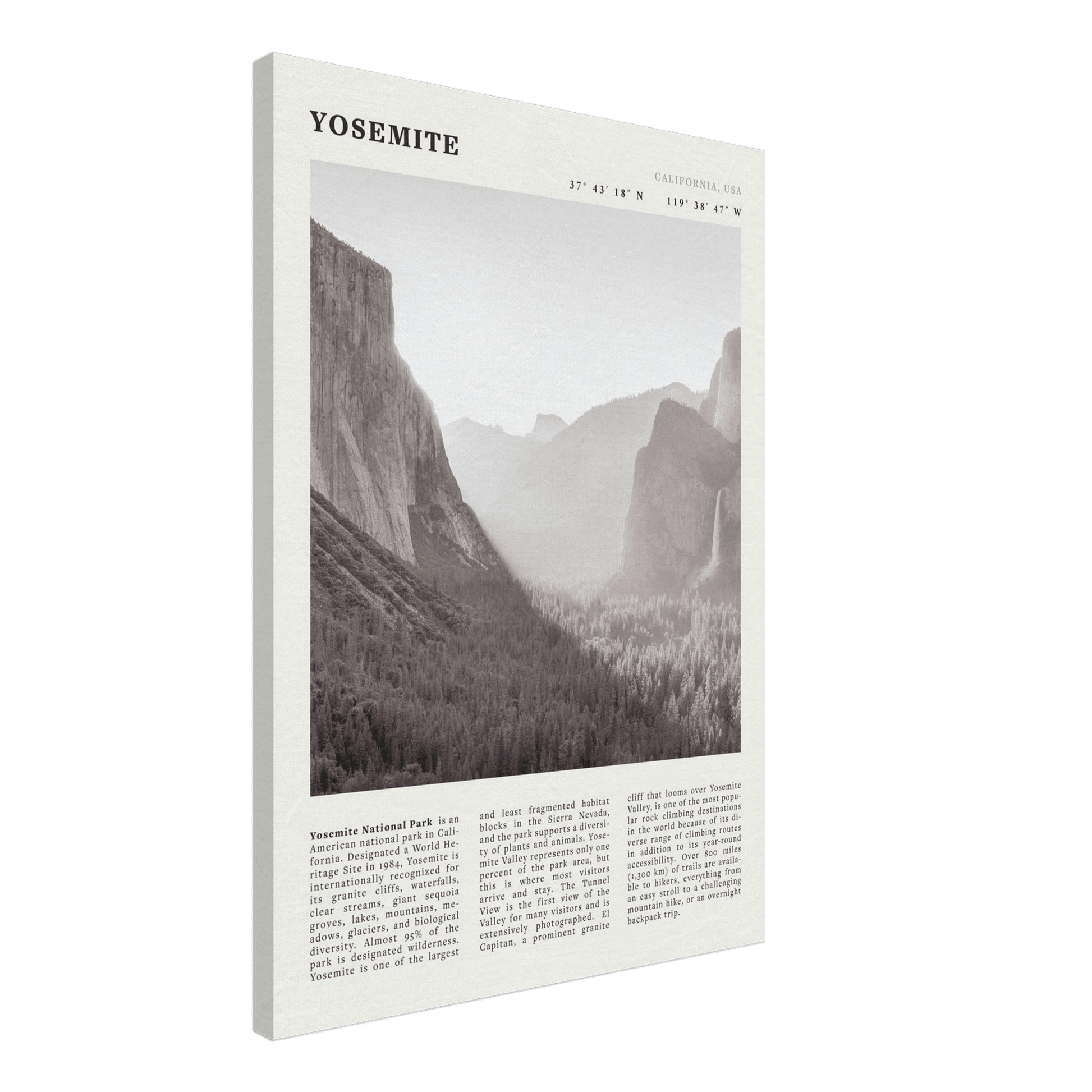 Yosemite Poster | Black & White National Park Wall Art | California Nature Print - Evergreen Posters