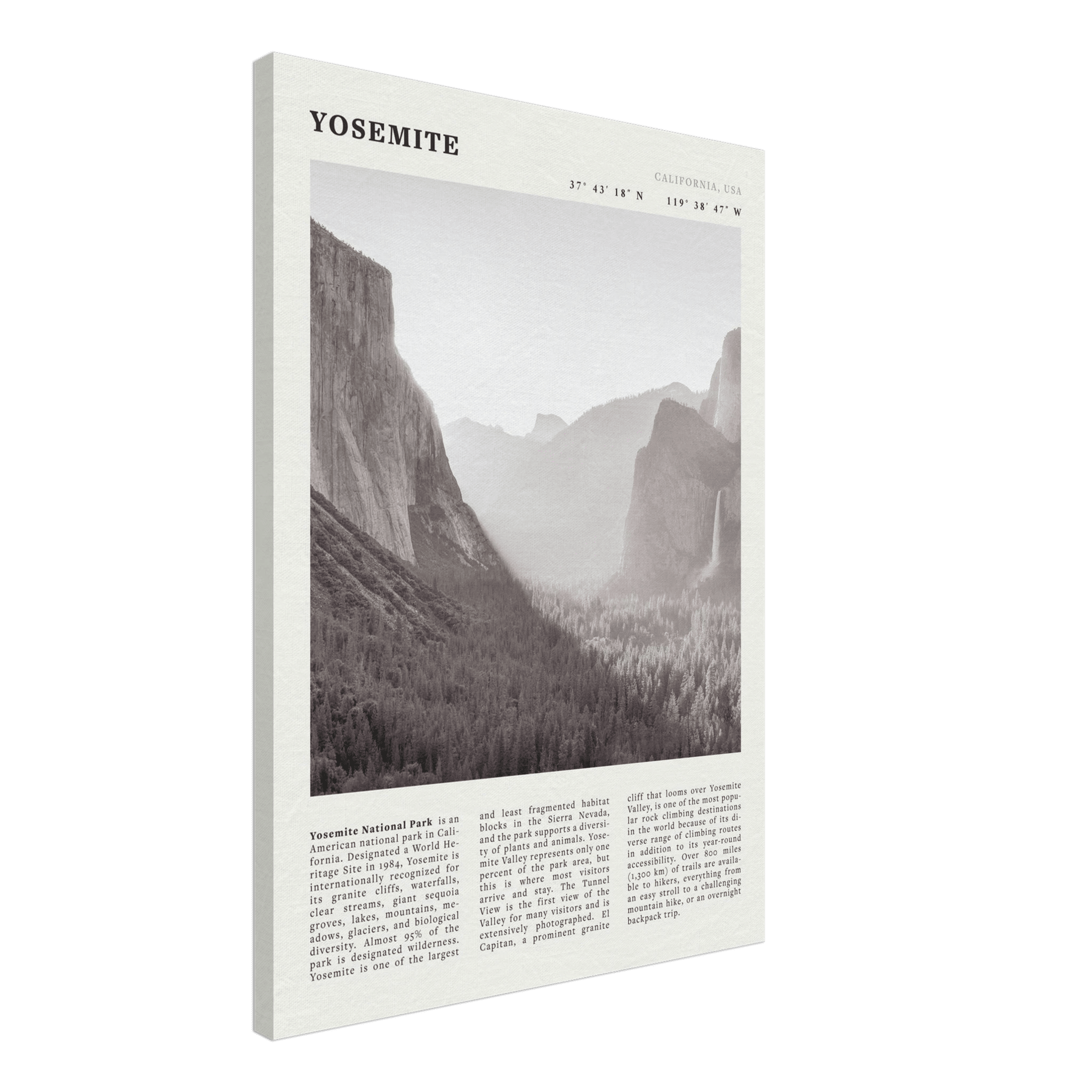 Yosemite Poster | Black & White National Park Wall Art | California Nature Print - Evergreen Posters