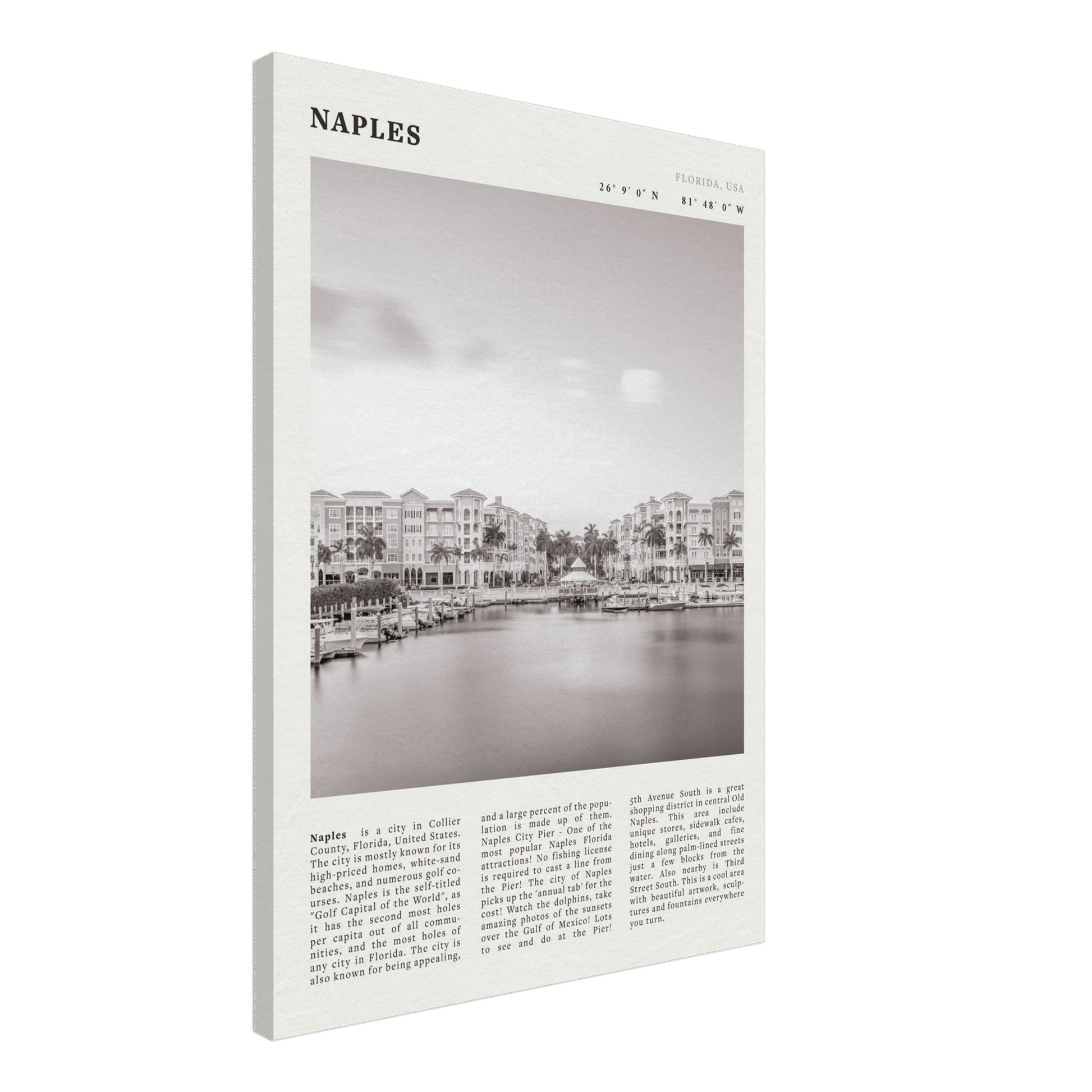 Naples Florida Poster | Black & White Gulf Coast Wall Art | FL Travel Print - Evergreen Posters