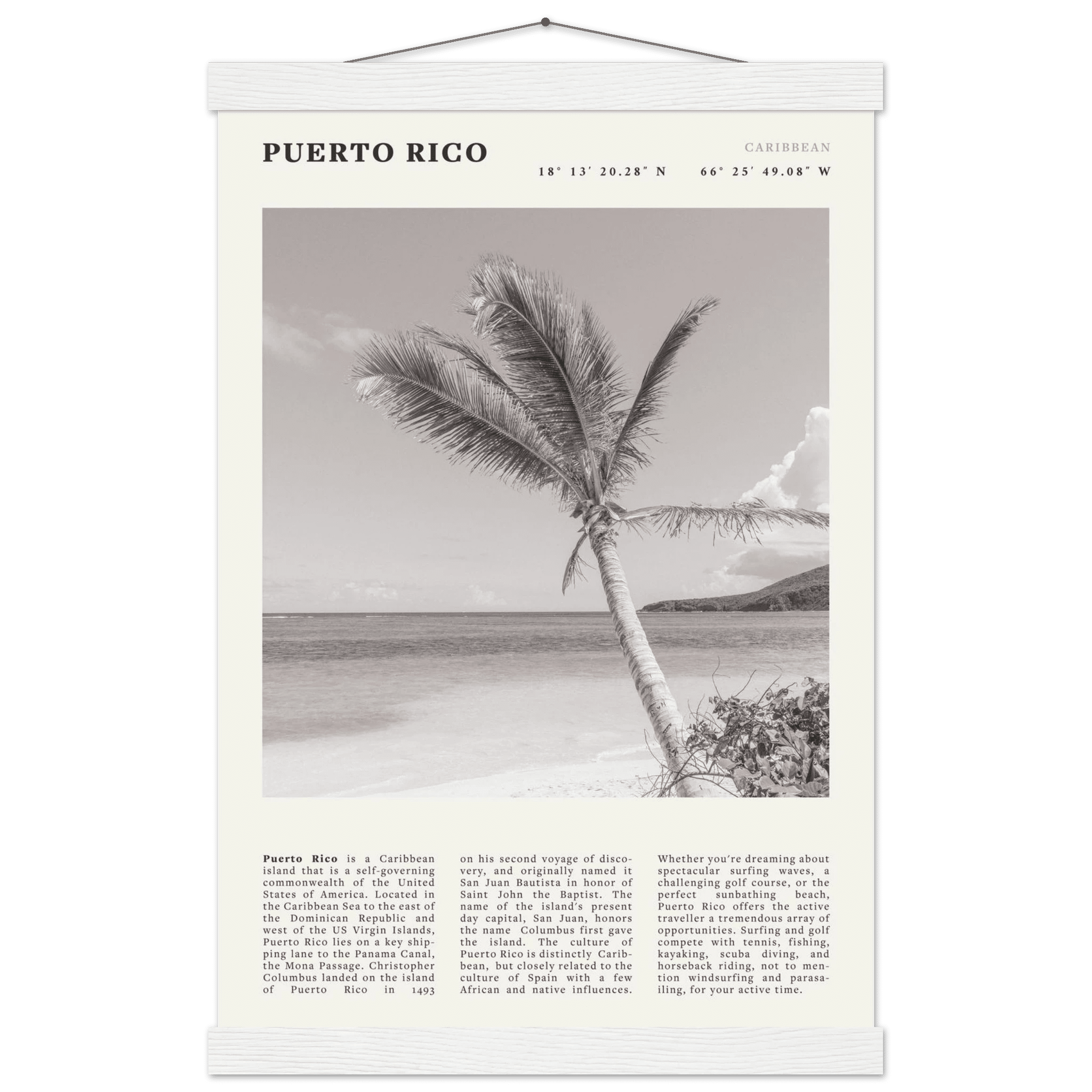 Puerto Rico Poster Black and White – Vintage Caribbean Palm Beach Print (Digital & Printed Options) - Evergreen Posters