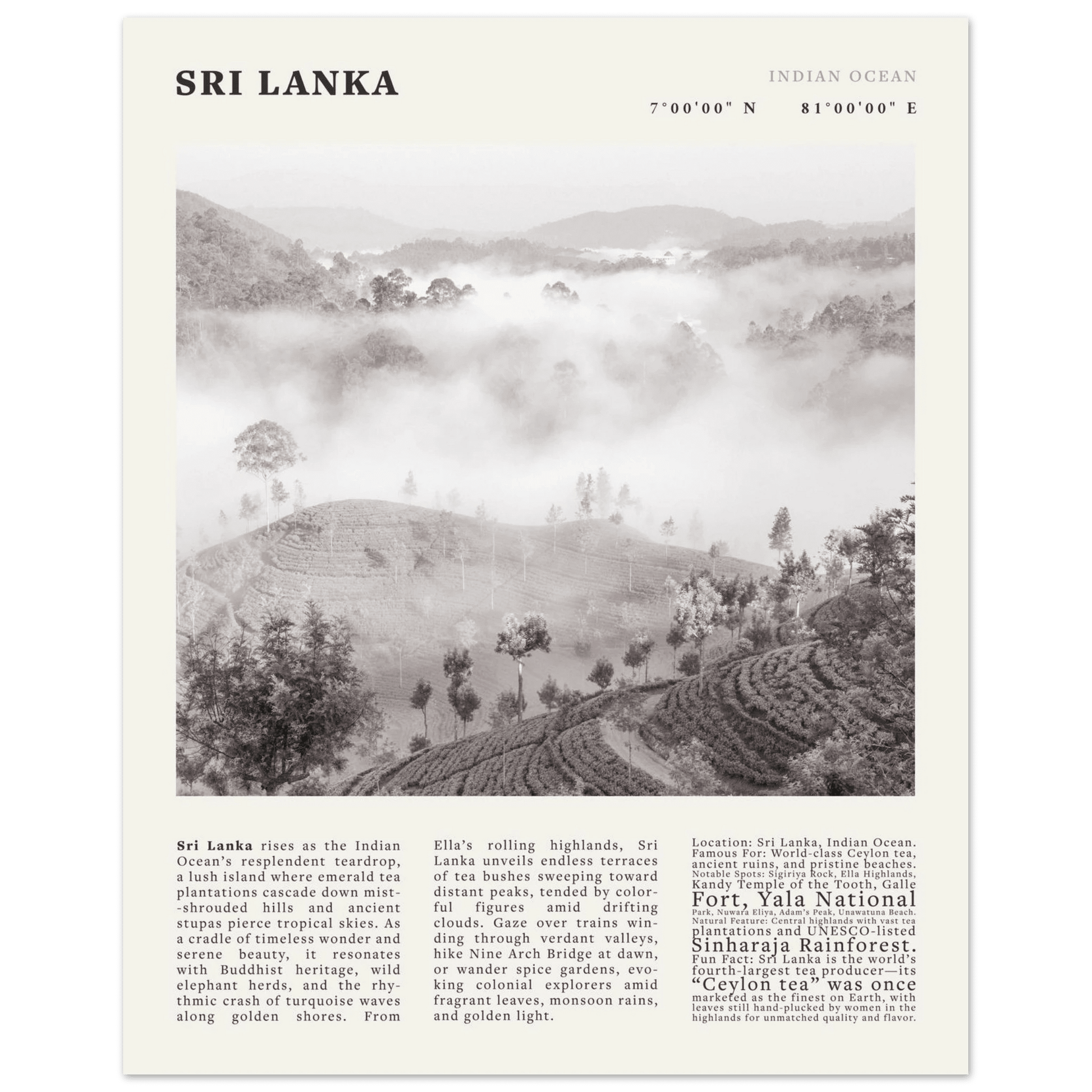 Sri Lanka Poster Black and White – Vintage Ceylon Tea Plantation Print (Digital & Printed Options) - Evergreen Posters
