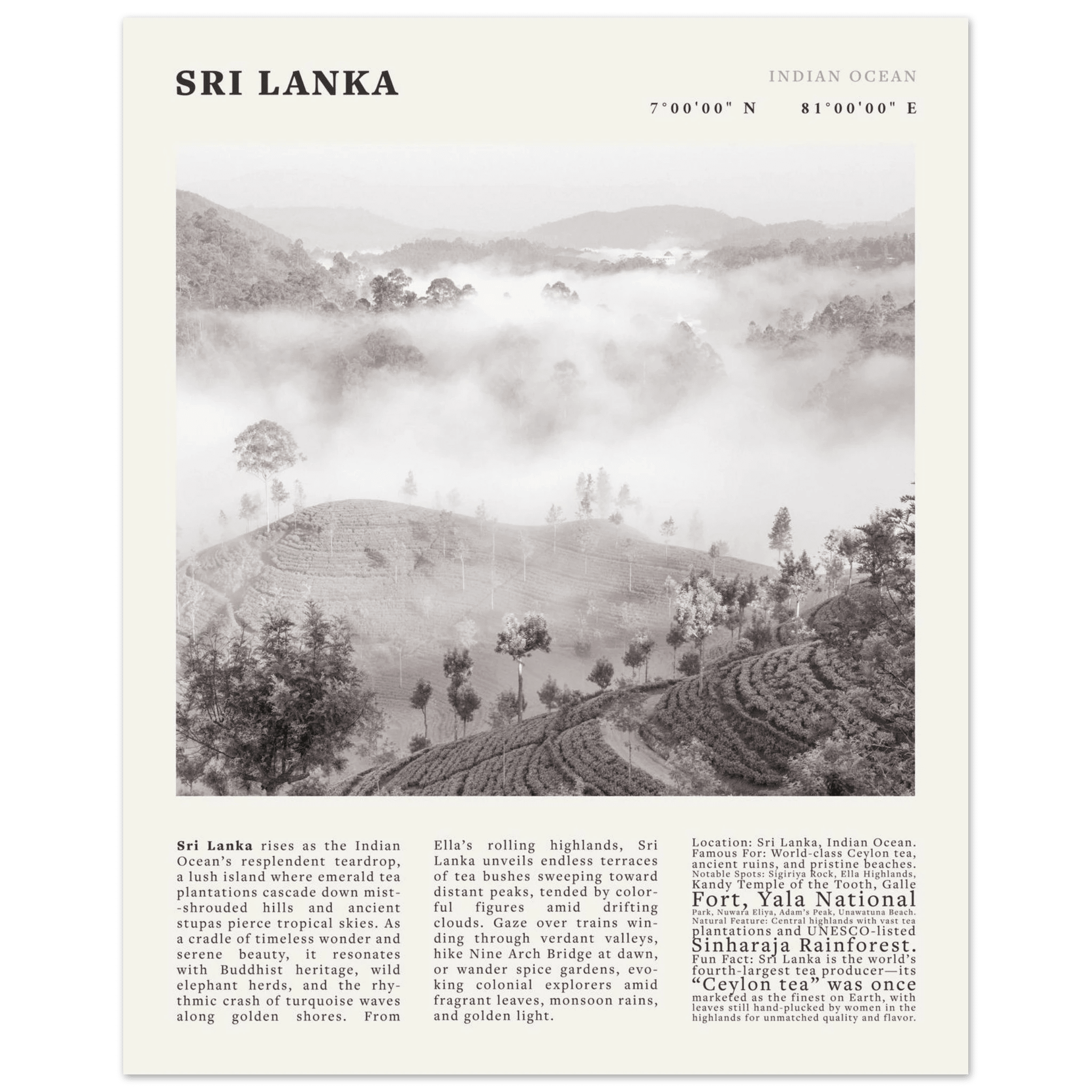 Sri Lanka Poster Black and White – Vintage Ceylon Tea Plantation Print (Digital & Printed Options) - Evergreen Posters
