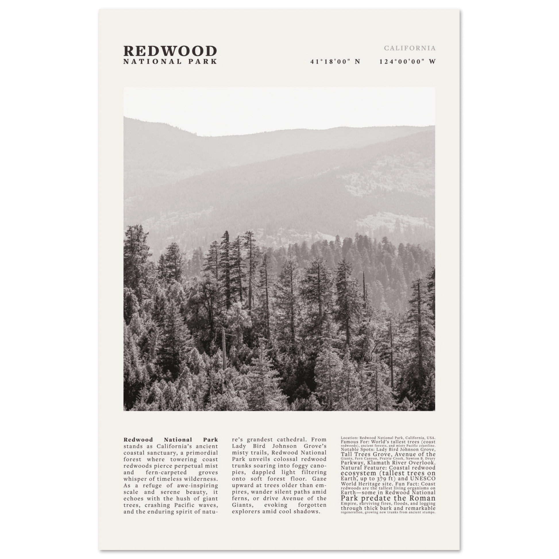 Redwood National Park Poster Black and White – Vintage Foggy Redwood Forest Print - Evergreen Posters