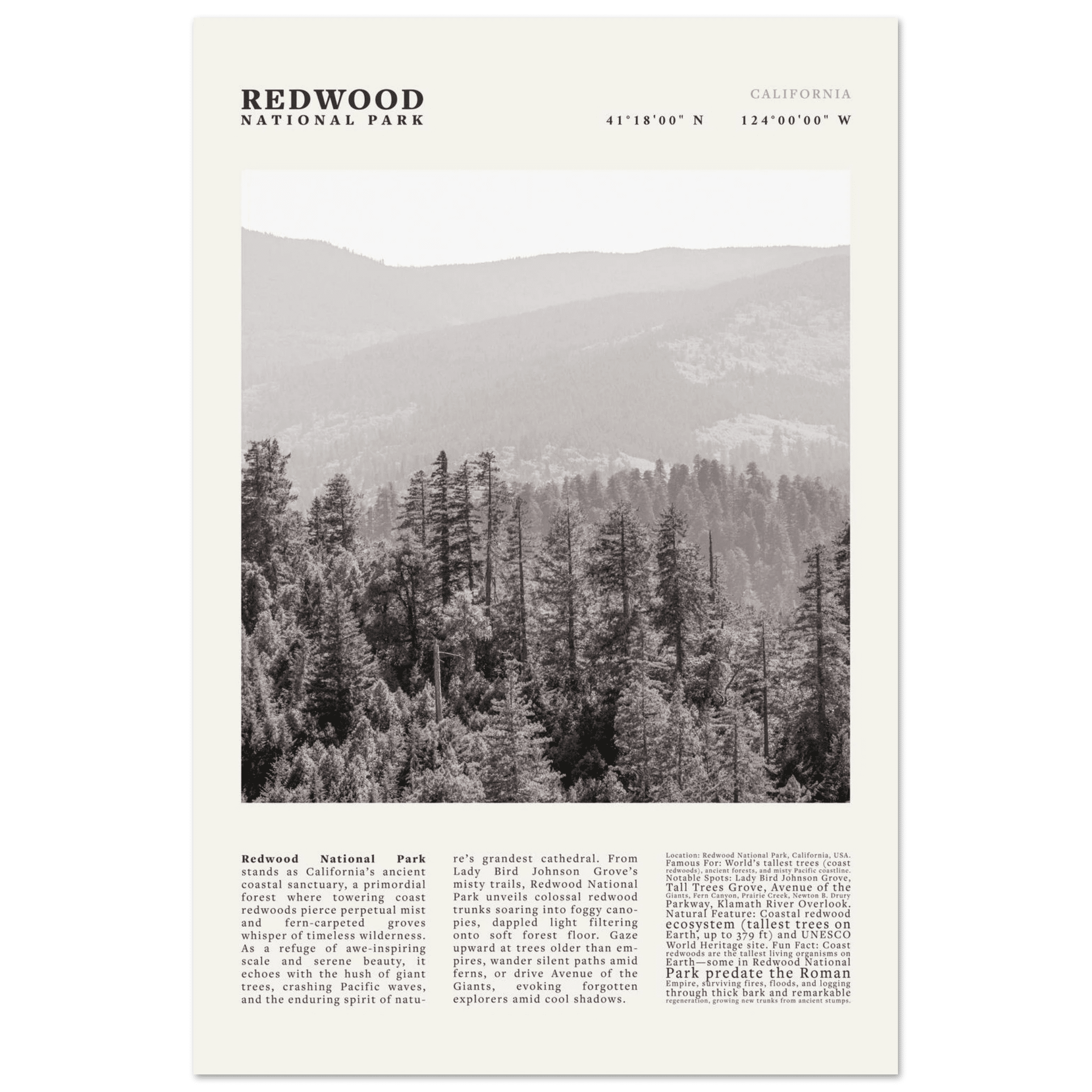 Redwood National Park Poster Black and White – Vintage Foggy Redwood Forest Print - Evergreen Posters