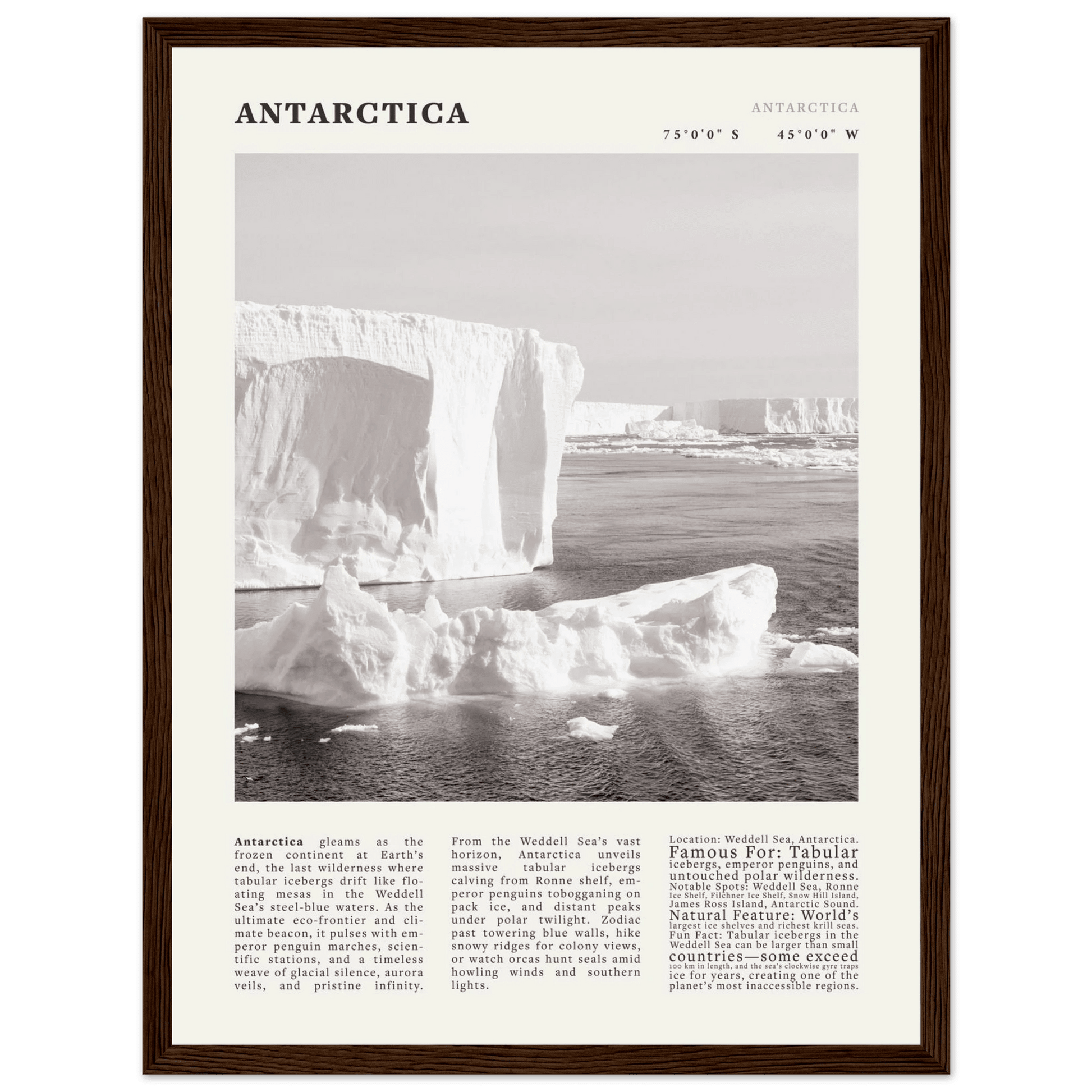 Antarctica Poster Black and White – Vintage Weddell Sea Iceberg Print (Digital & Printed Options) - Evergreen Posters