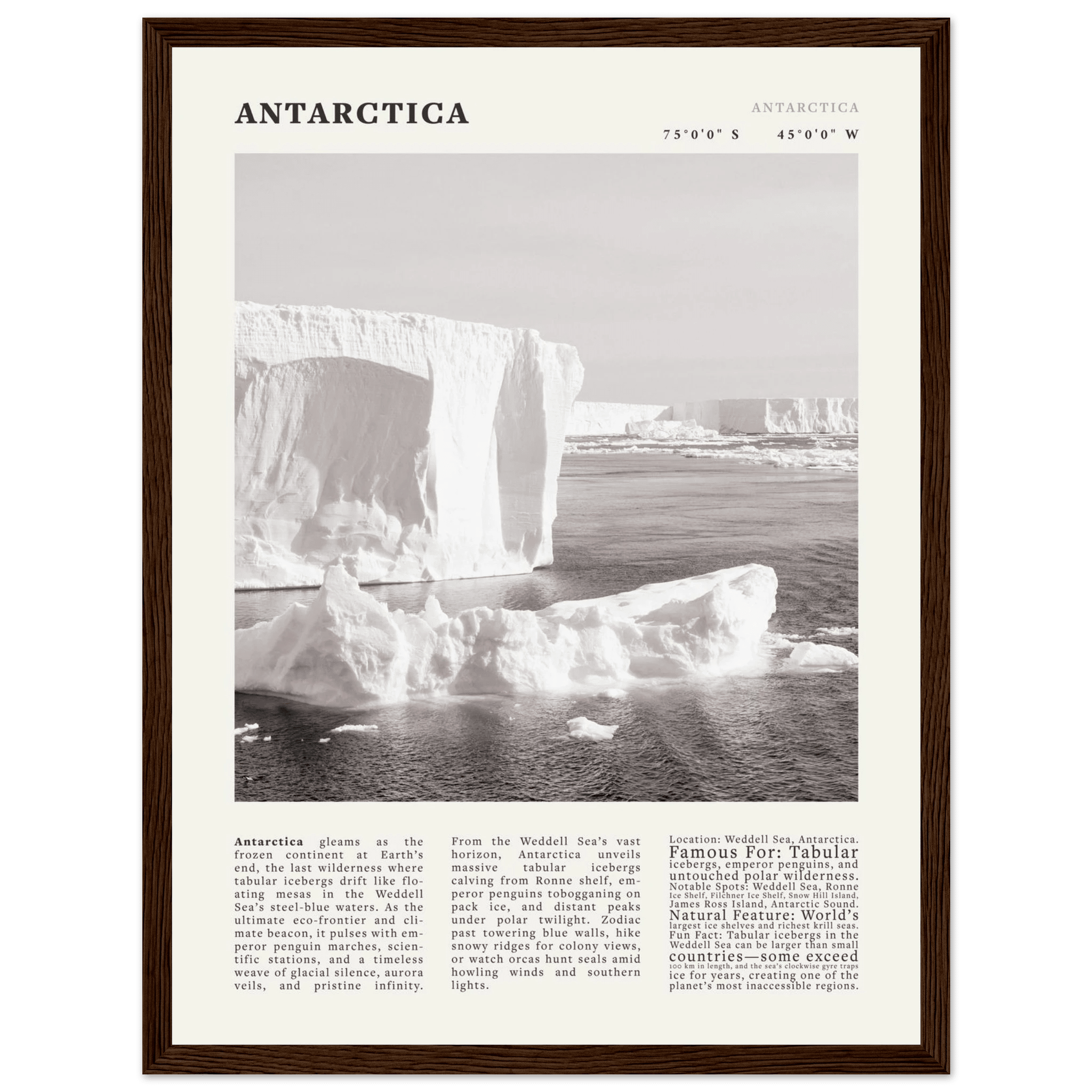 Antarctica Poster Black and White – Vintage Weddell Sea Iceberg Print (Digital & Printed Options) - Evergreen Posters