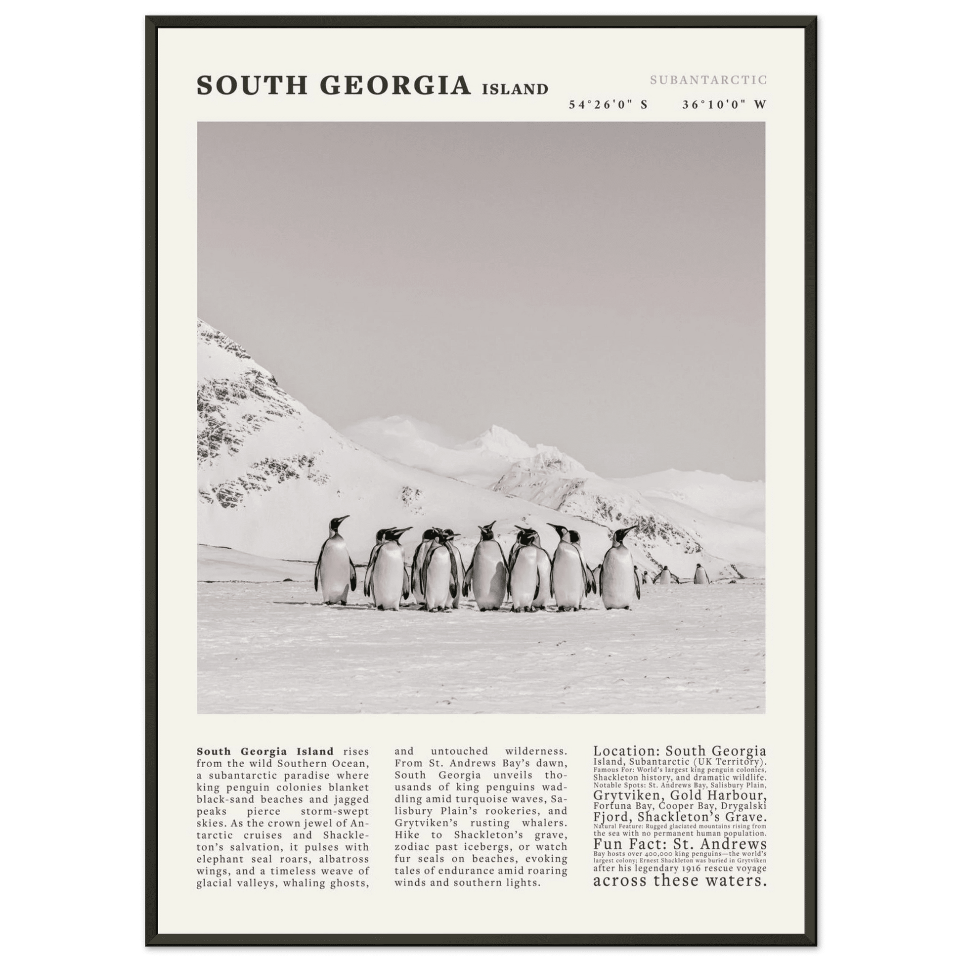South Georgia Island Black and White Vintage Poster - Evergreen Posters