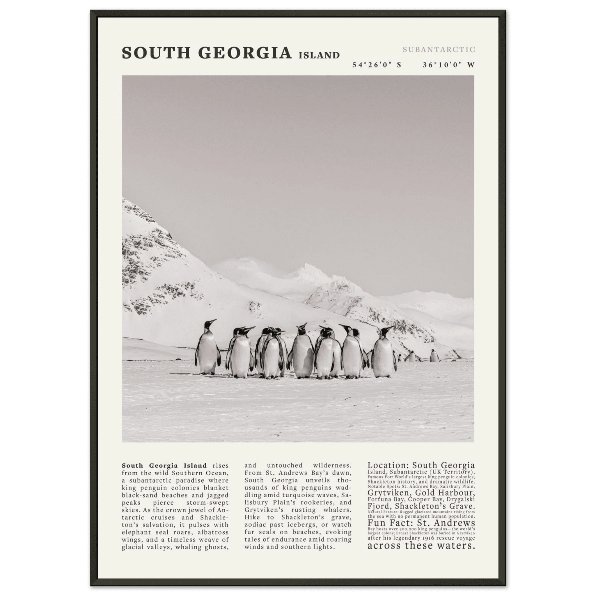 South Georgia Island Black and White Vintage Poster - Evergreen Posters