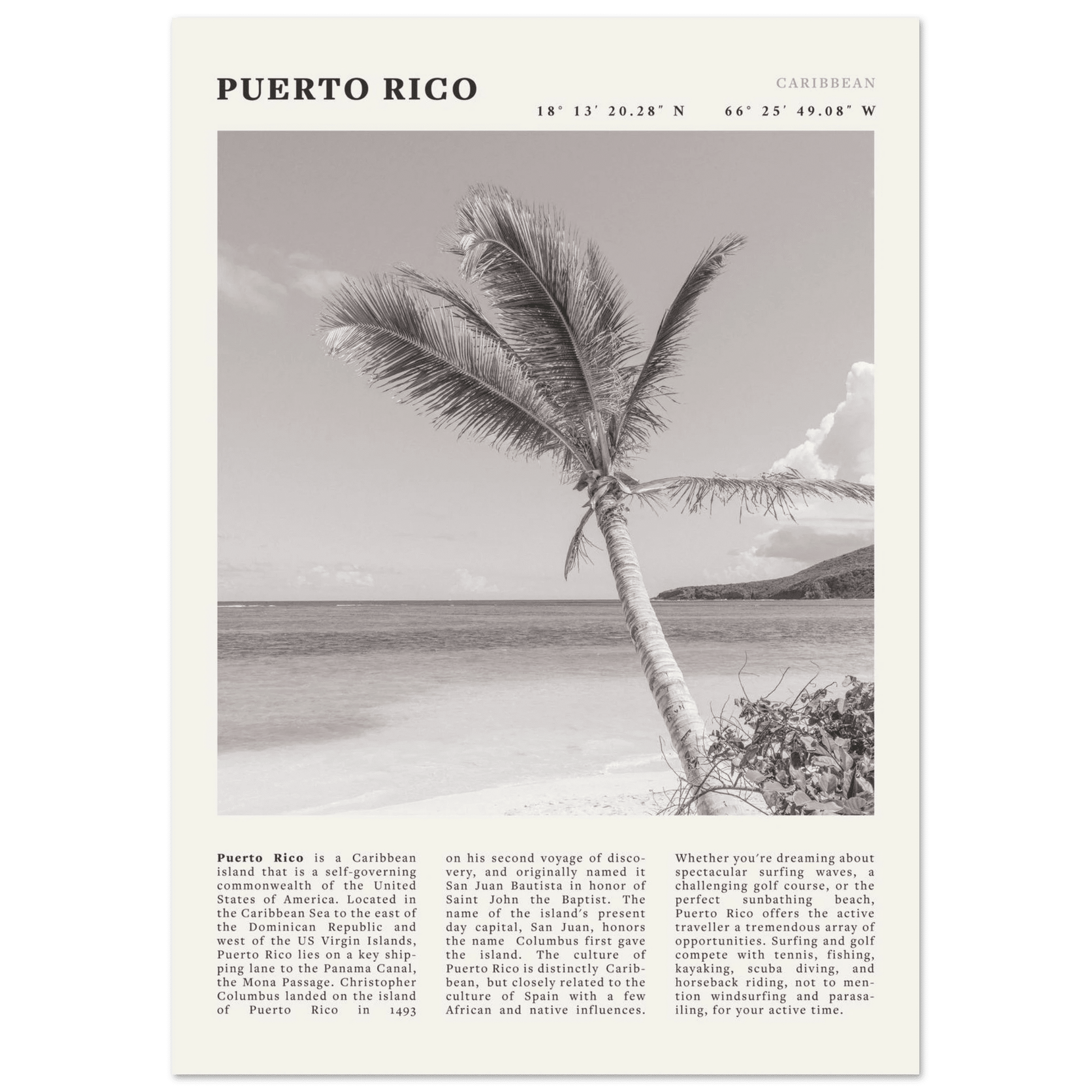 Puerto Rico Poster Black and White – Vintage Caribbean Palm Beach Print (Digital & Printed Options) - Evergreen Posters