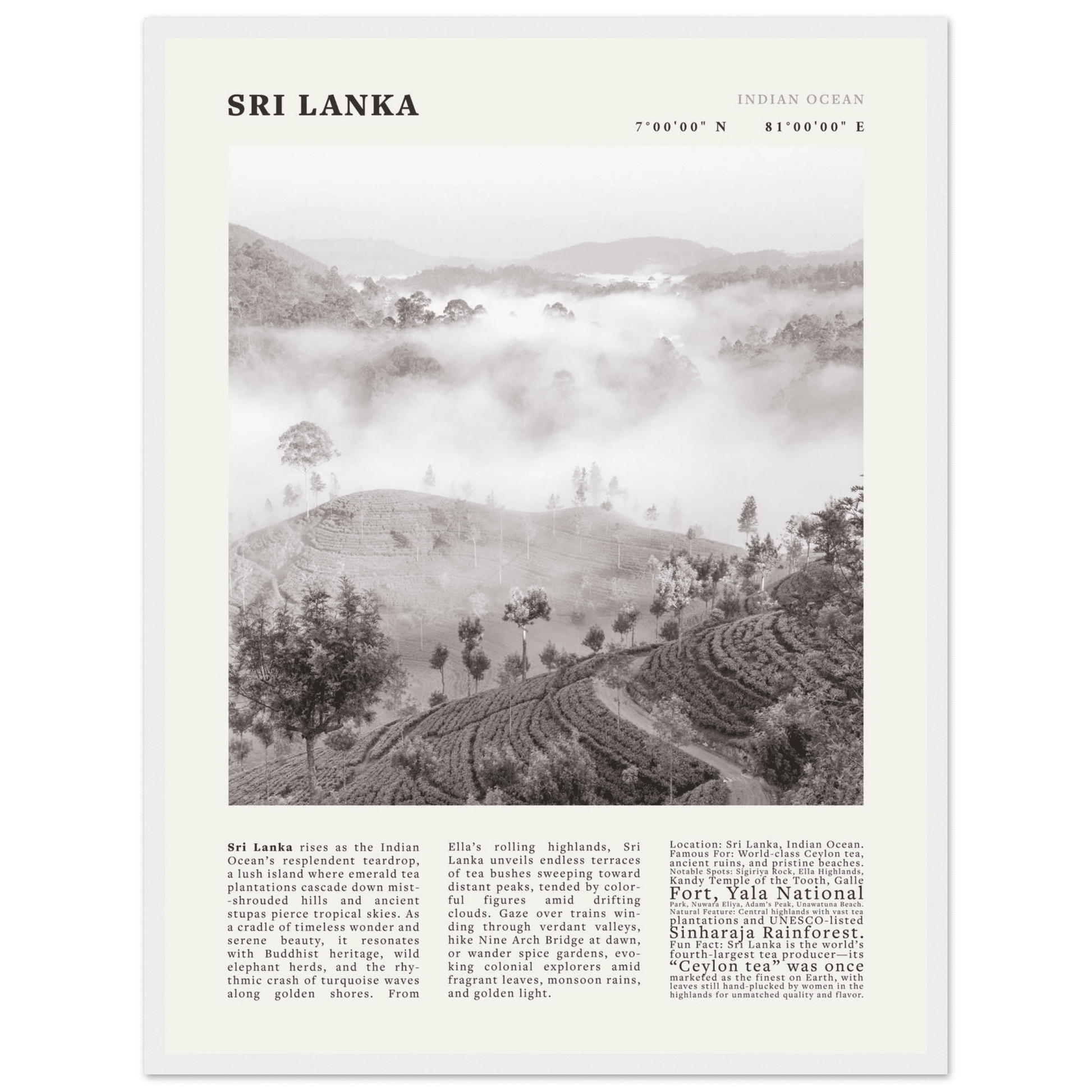 Sri Lanka Poster Black and White – Vintage Ceylon Tea Plantation Print (Digital & Printed Options) - Evergreen Posters