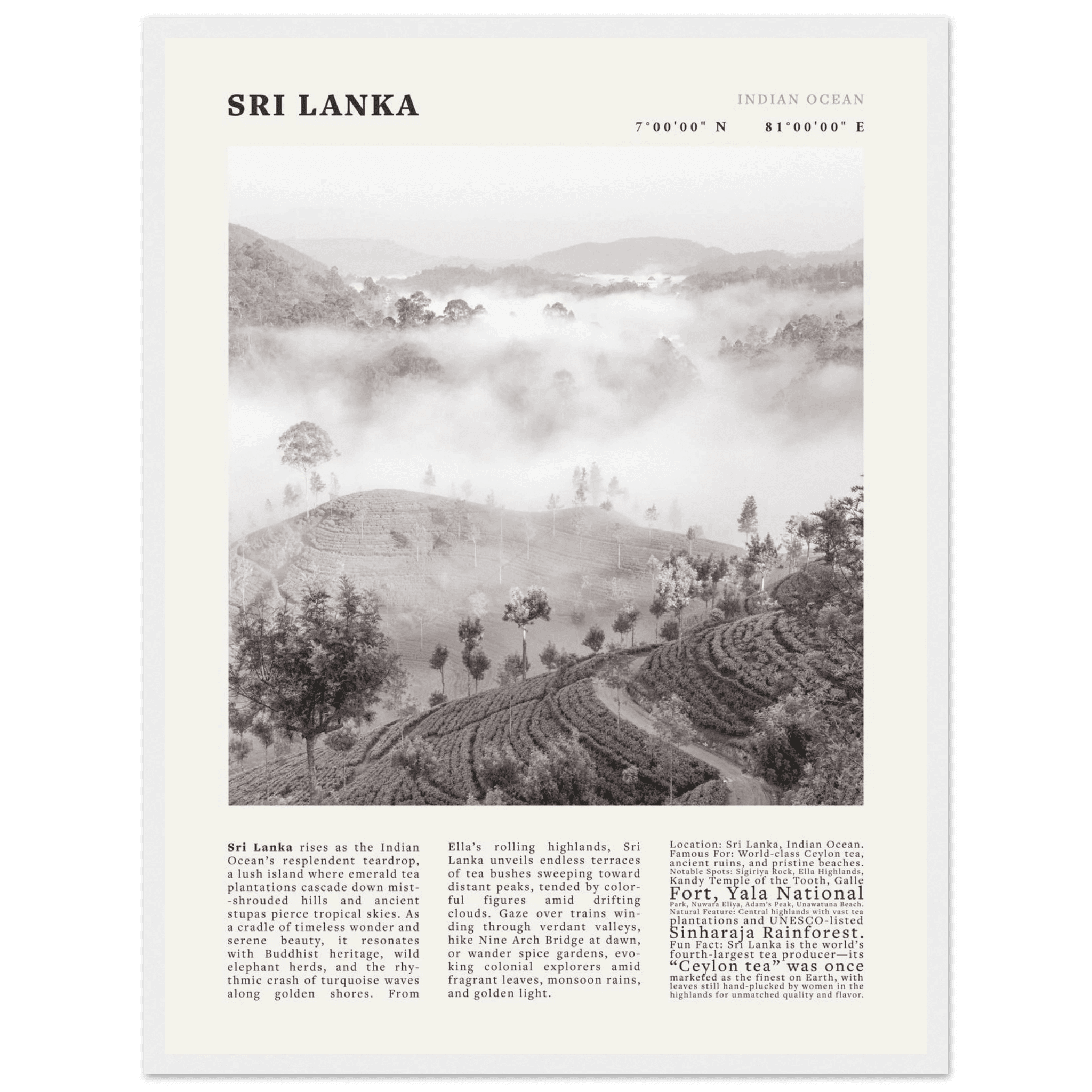 Sri Lanka Poster Black and White – Vintage Ceylon Tea Plantation Print (Digital & Printed Options) - Evergreen Posters