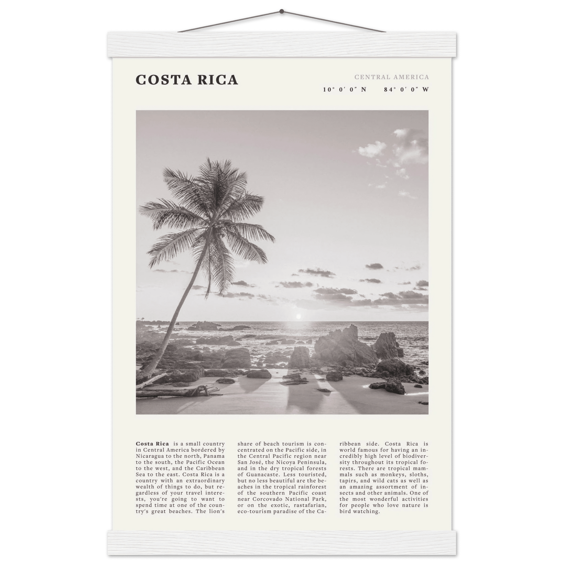 Costa Rica Poster | Black & White Palm Tree Beach Wall Art | Travel Print Decor - Evergreen Posters