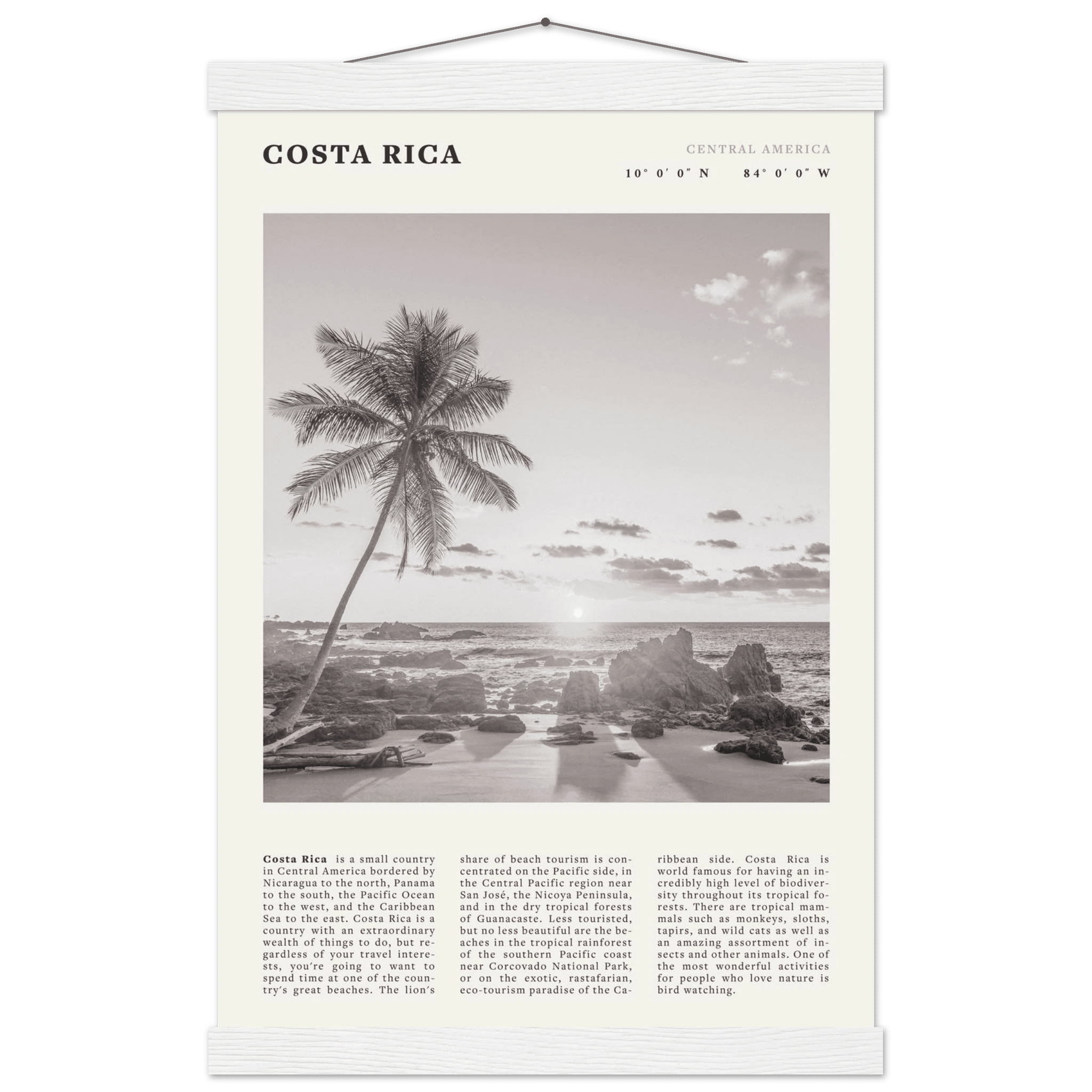 Costa Rica Poster | Black & White Palm Tree Beach Wall Art | Travel Print Decor - Evergreen Posters
