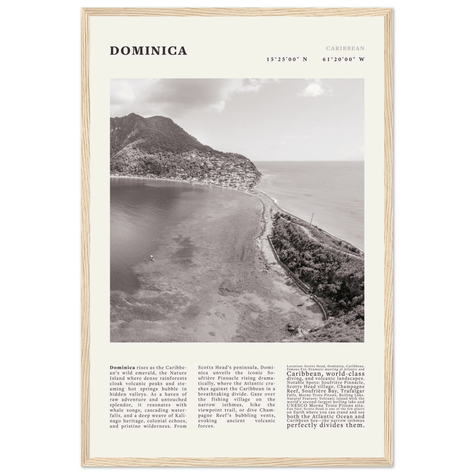 Dominica Poster Black and White – Vintage Caribbean Rainforest Island Print (Digital & Printed Options) - Evergreen Posters