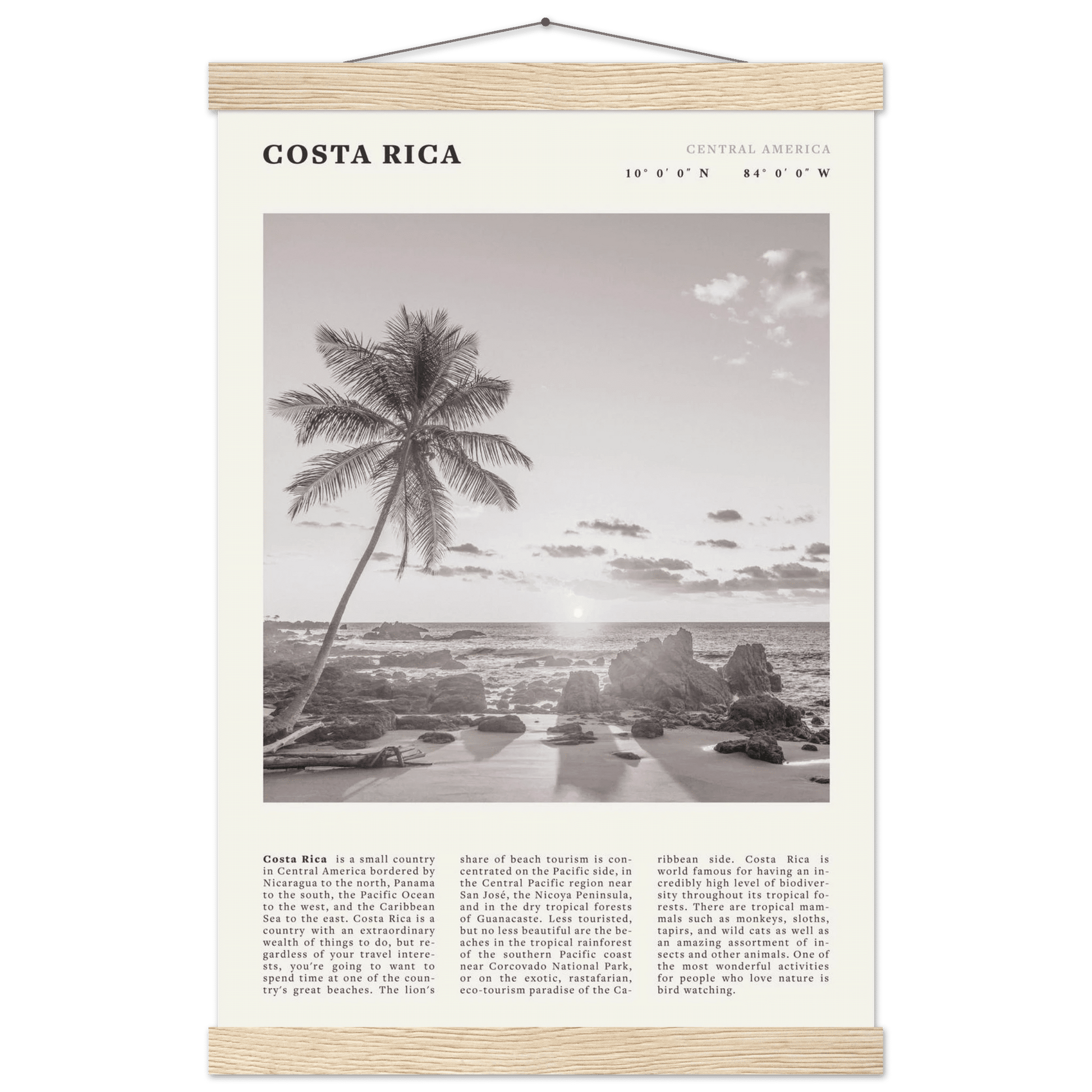 Costa Rica Poster | Black & White Palm Tree Beach Wall Art | Travel Print Decor - Evergreen Posters