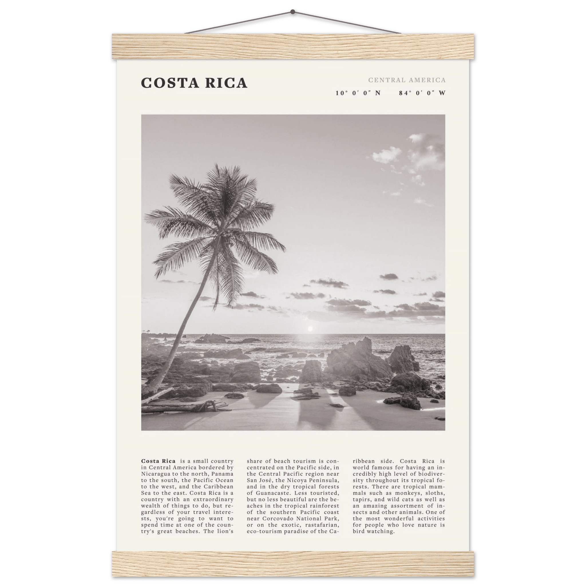 Costa Rica Poster | Black & White Palm Tree Beach Wall Art | Travel Print Decor - Evergreen Posters