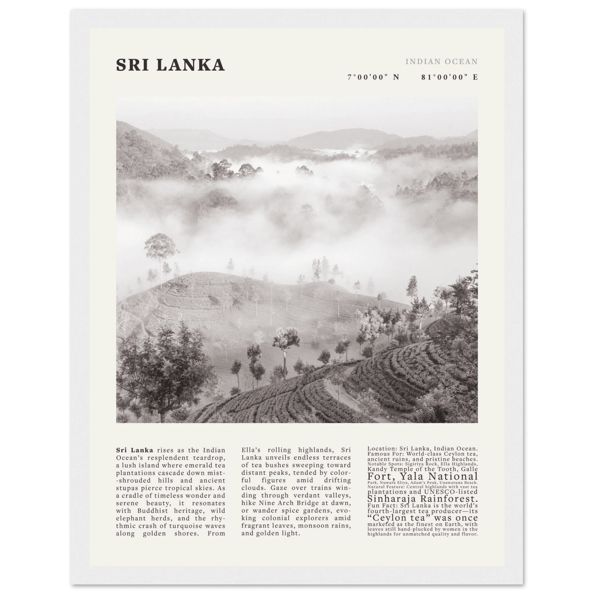 Sri Lanka Poster Black and White – Vintage Ceylon Tea Plantation Print (Digital & Printed Options) - Evergreen Posters