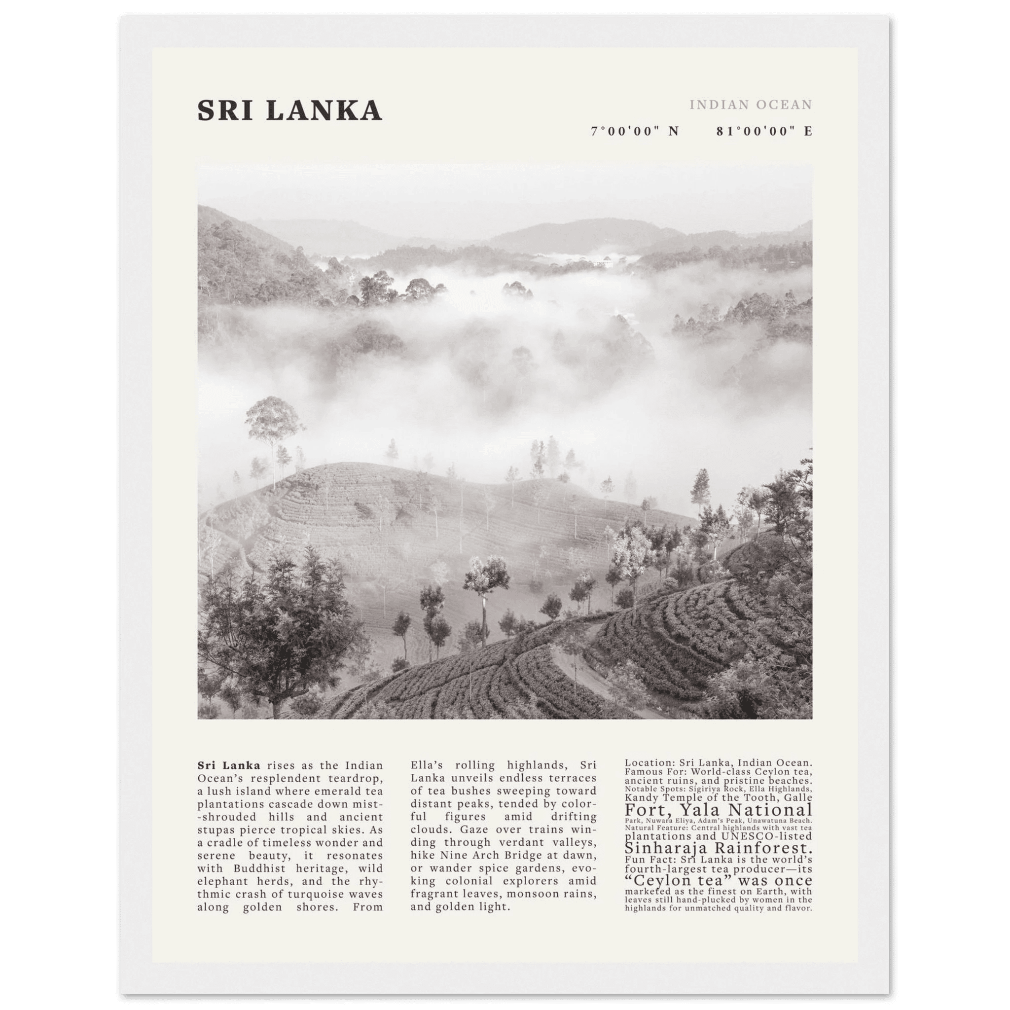 Sri Lanka Poster Black and White – Vintage Ceylon Tea Plantation Print (Digital & Printed Options) - Evergreen Posters